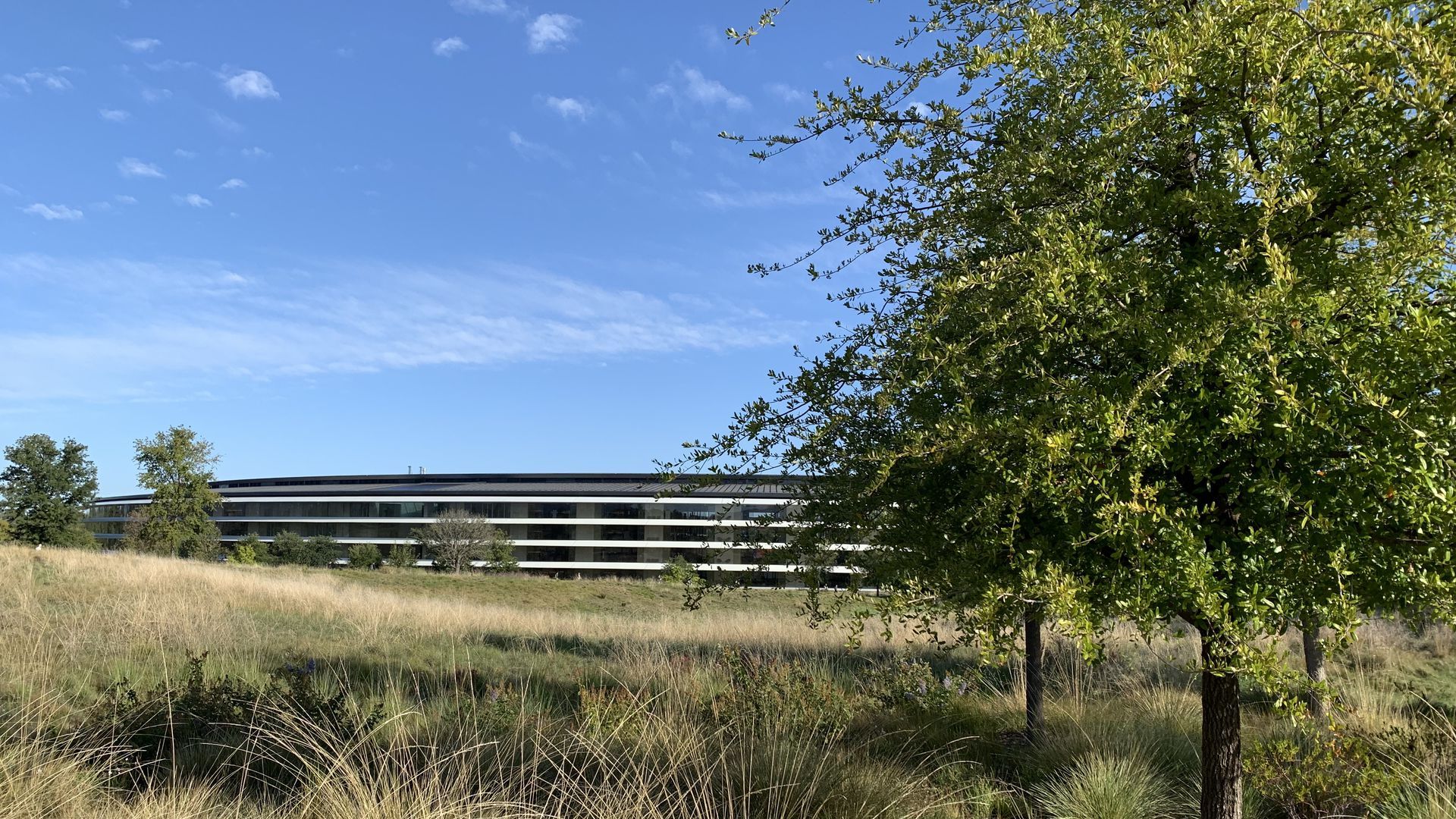 A picture of Apple Park, Apple's "spaceship" campus in Cupertino. 