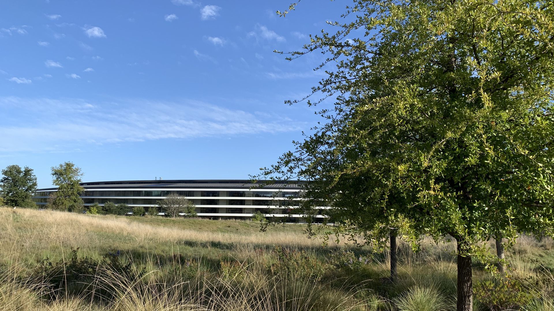 A picture of Apple Park, Apple's "spaceship" campus in Cupertino.