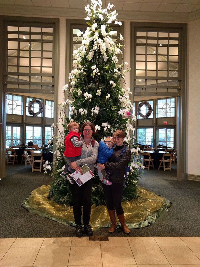 dsbg-orchid-christmas-tree