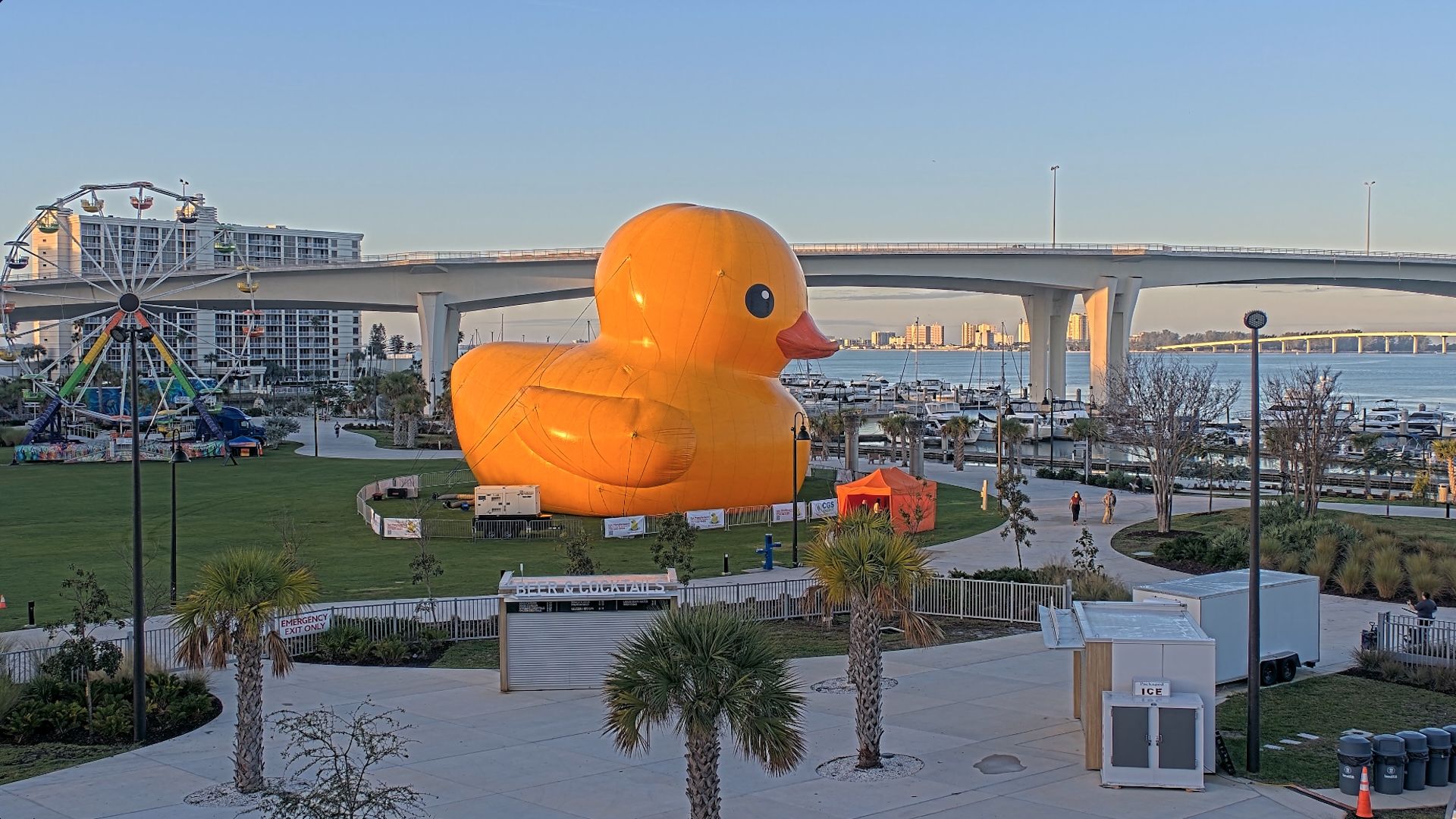Large yellow inflatable rubber duck on a grassy area near a waterfront with boats, a Ferris wheel, palm trees, and a bridge in the background under a clear blue sky.
