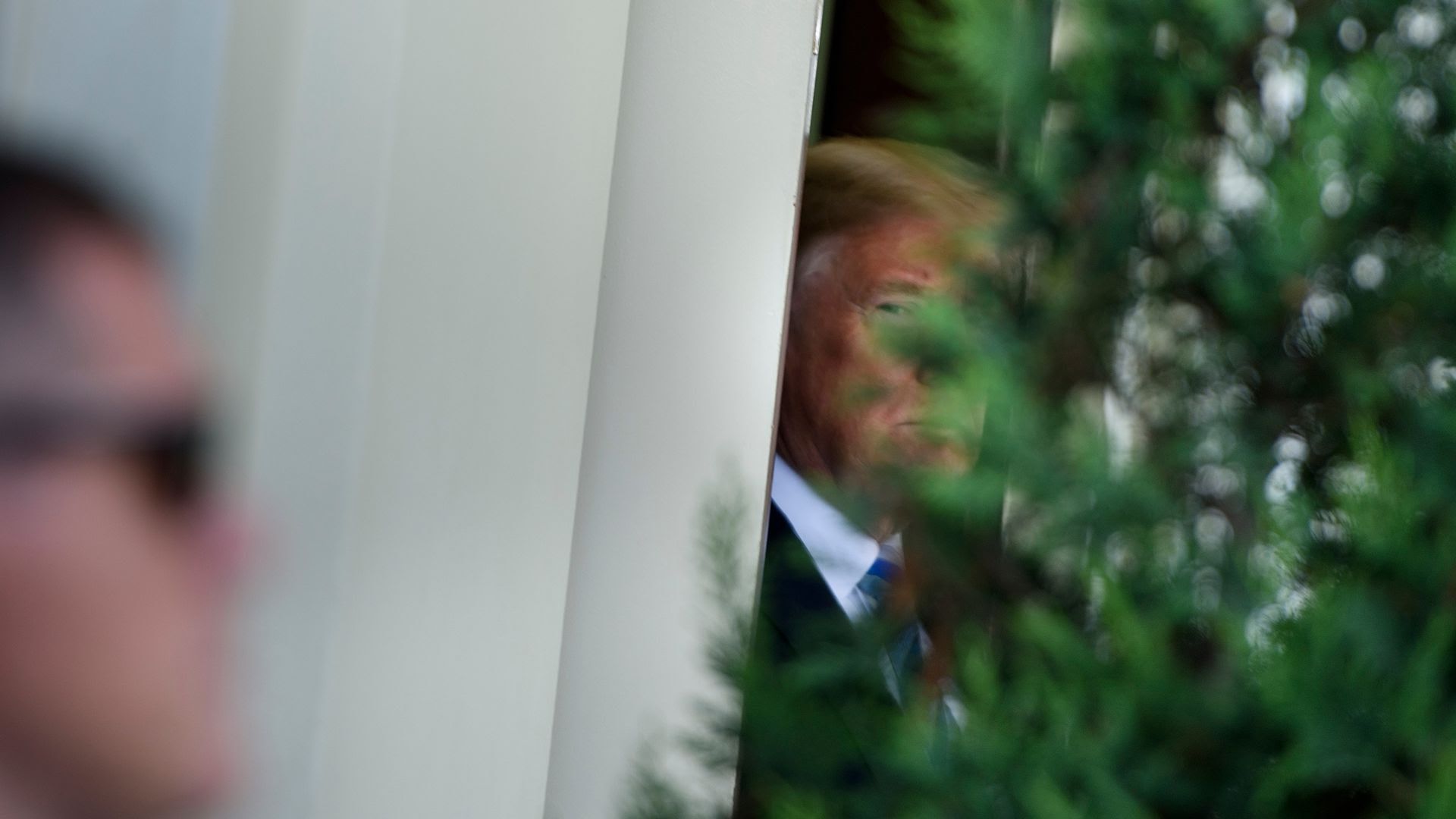 Trump lurks behind a bush at the White House