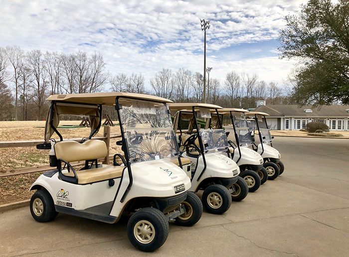 golf-carts-at-birkdale-golf-course