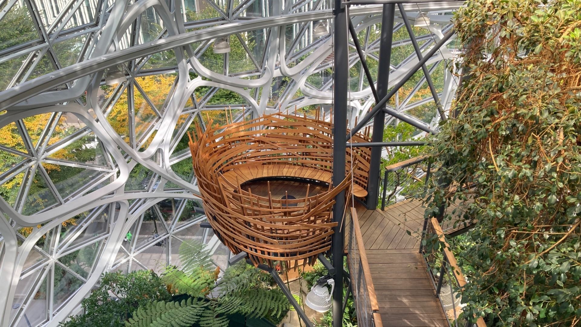 Interior of a glass-domed structure with intricate white steel framework, featuring a circular wooden seating area elevated on black metal poles, surrounded by lush green plants.
