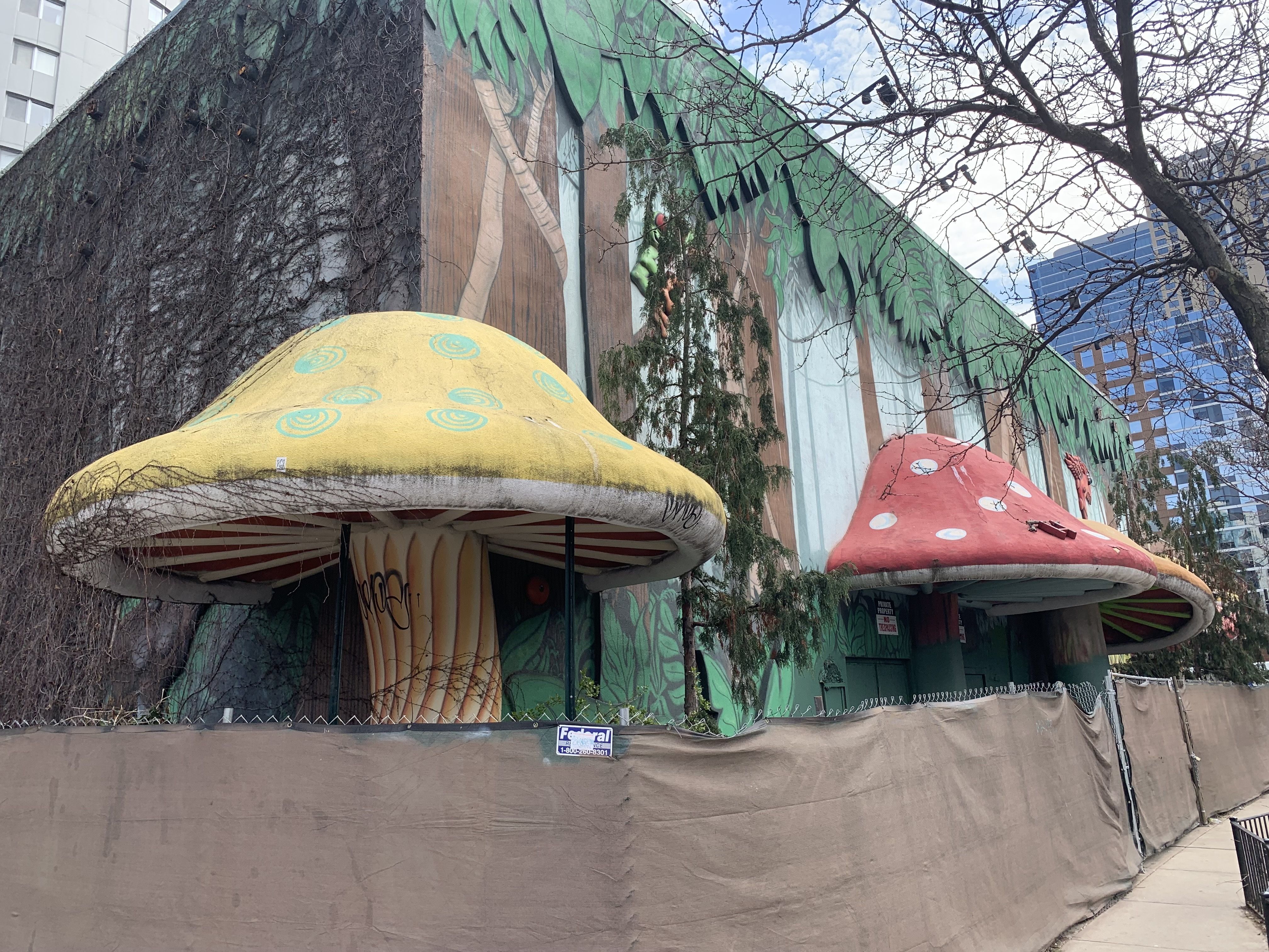 Photo of mushrooms outside building