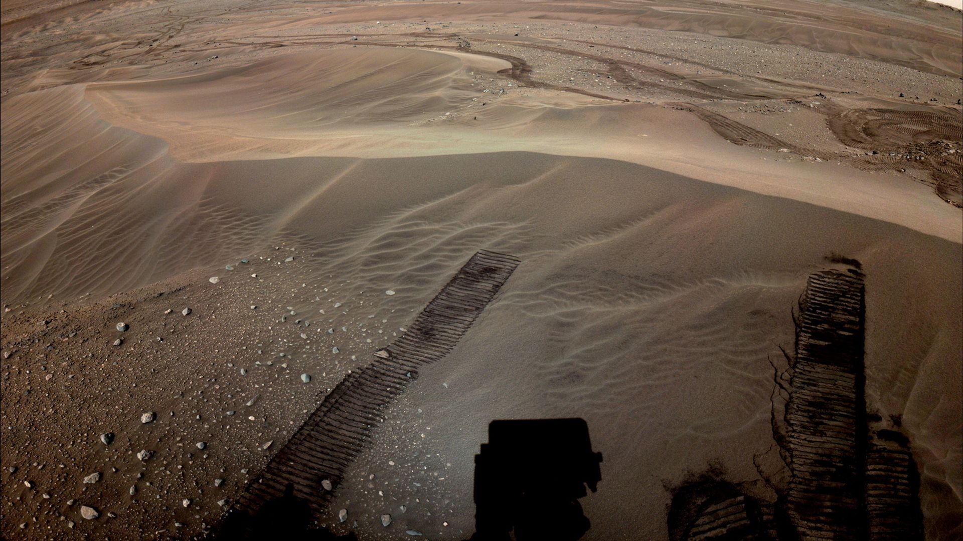 Tracks on Mars made by the Perseverance rover