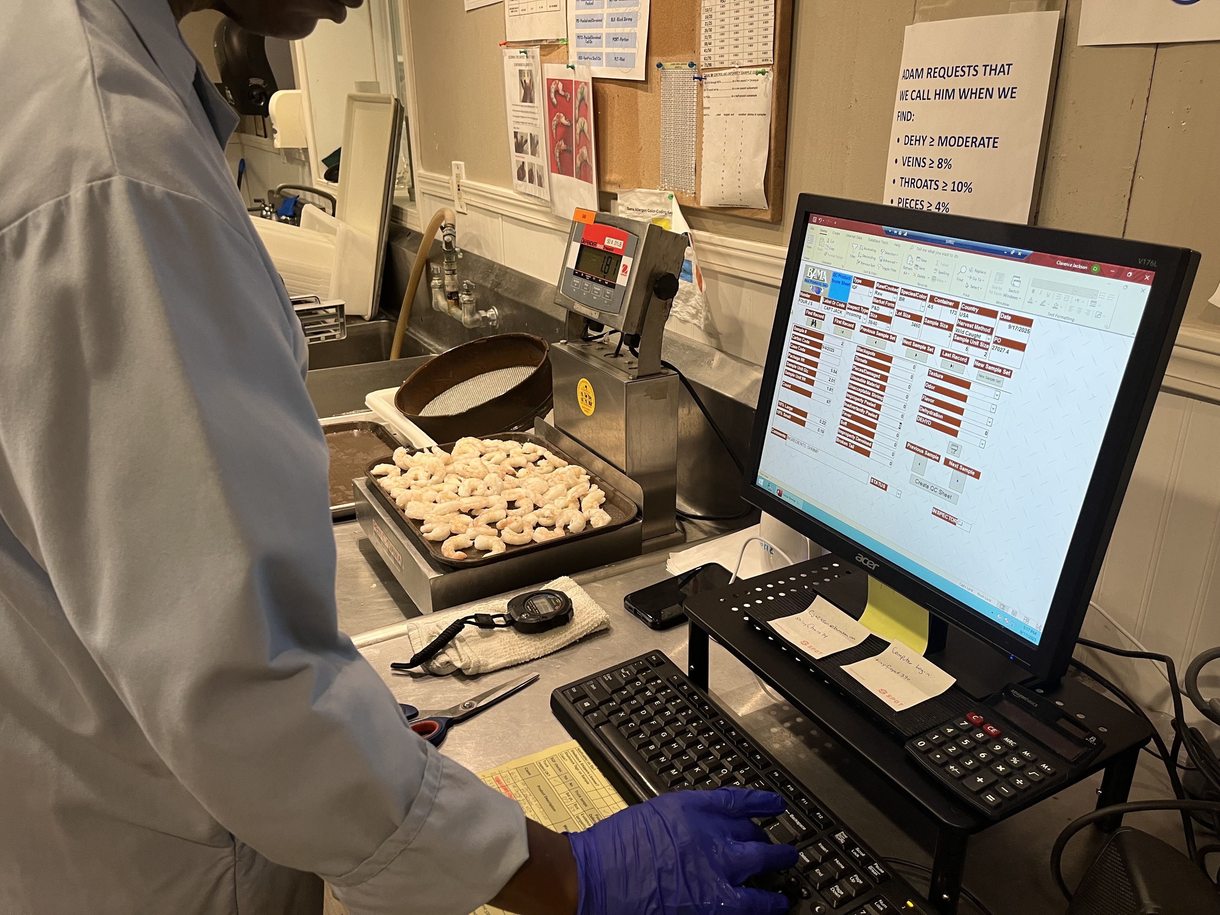 A man with blue gloves on types at a computer on a metal desk. To his left is a tray of frozen shrimp.