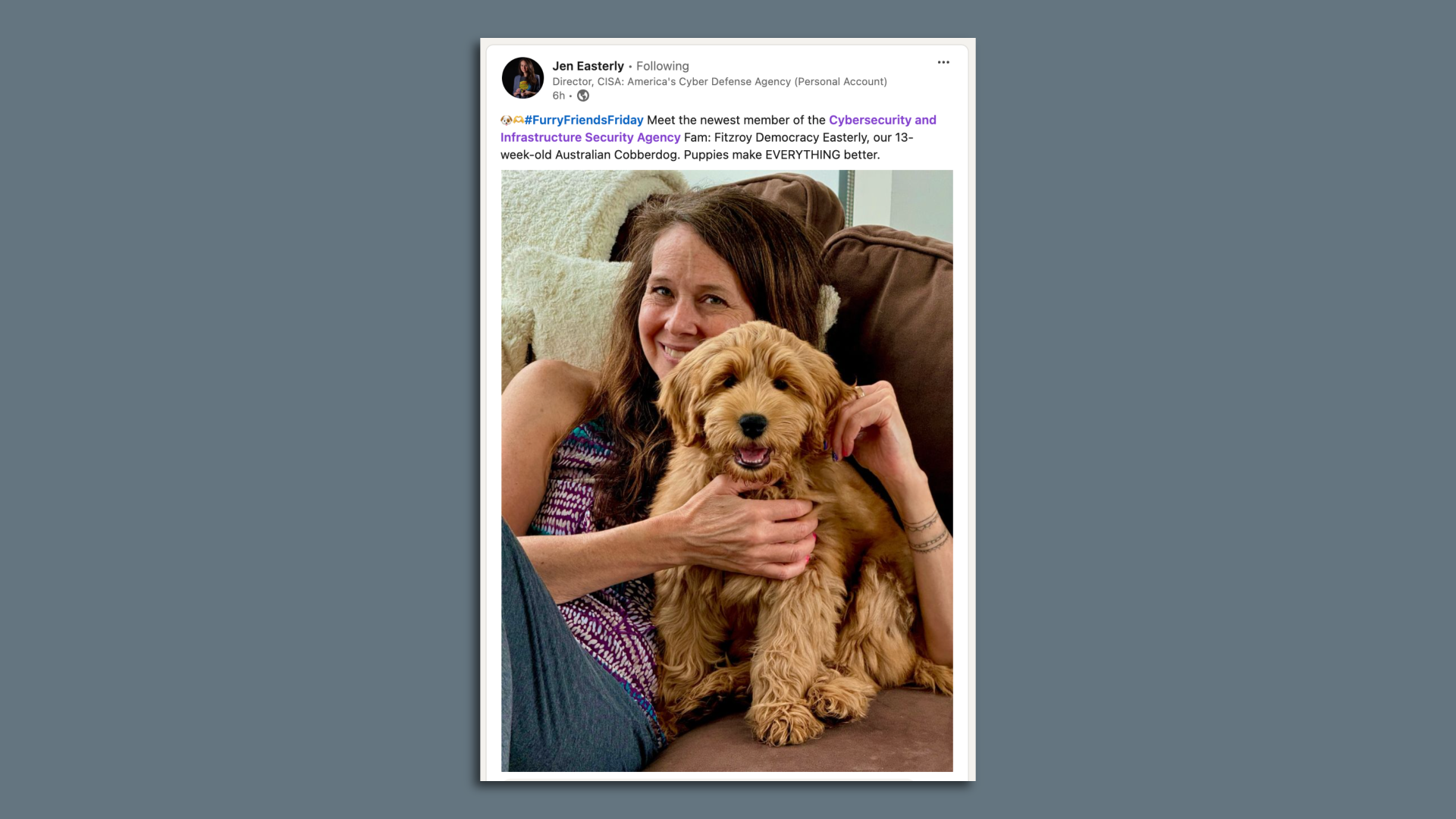 Screenshot of a LinkedIn post from CISA Director Jen Easterly with her new puppy 