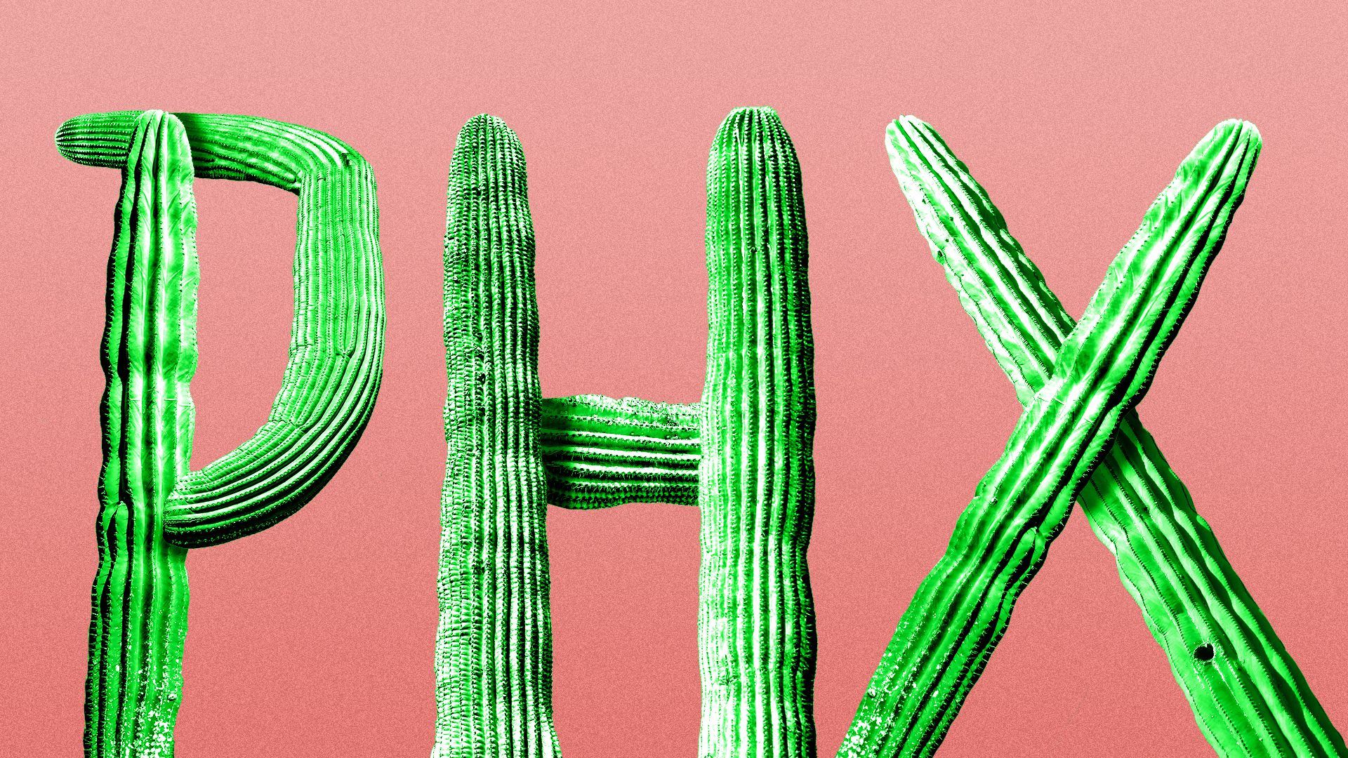 Illustration of the letters PHX spelled out in cacti.