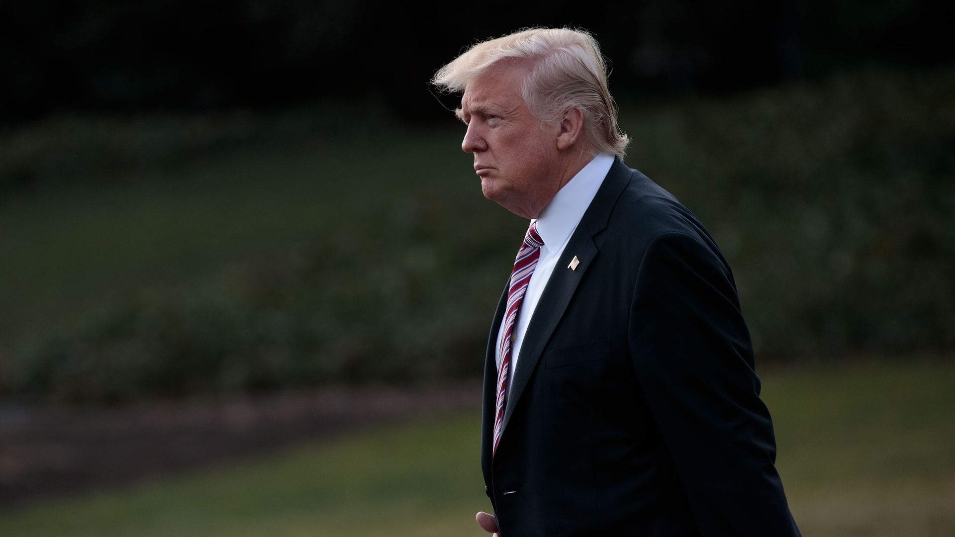 In this image, Trump walks alone on the grass, with trees behind him.