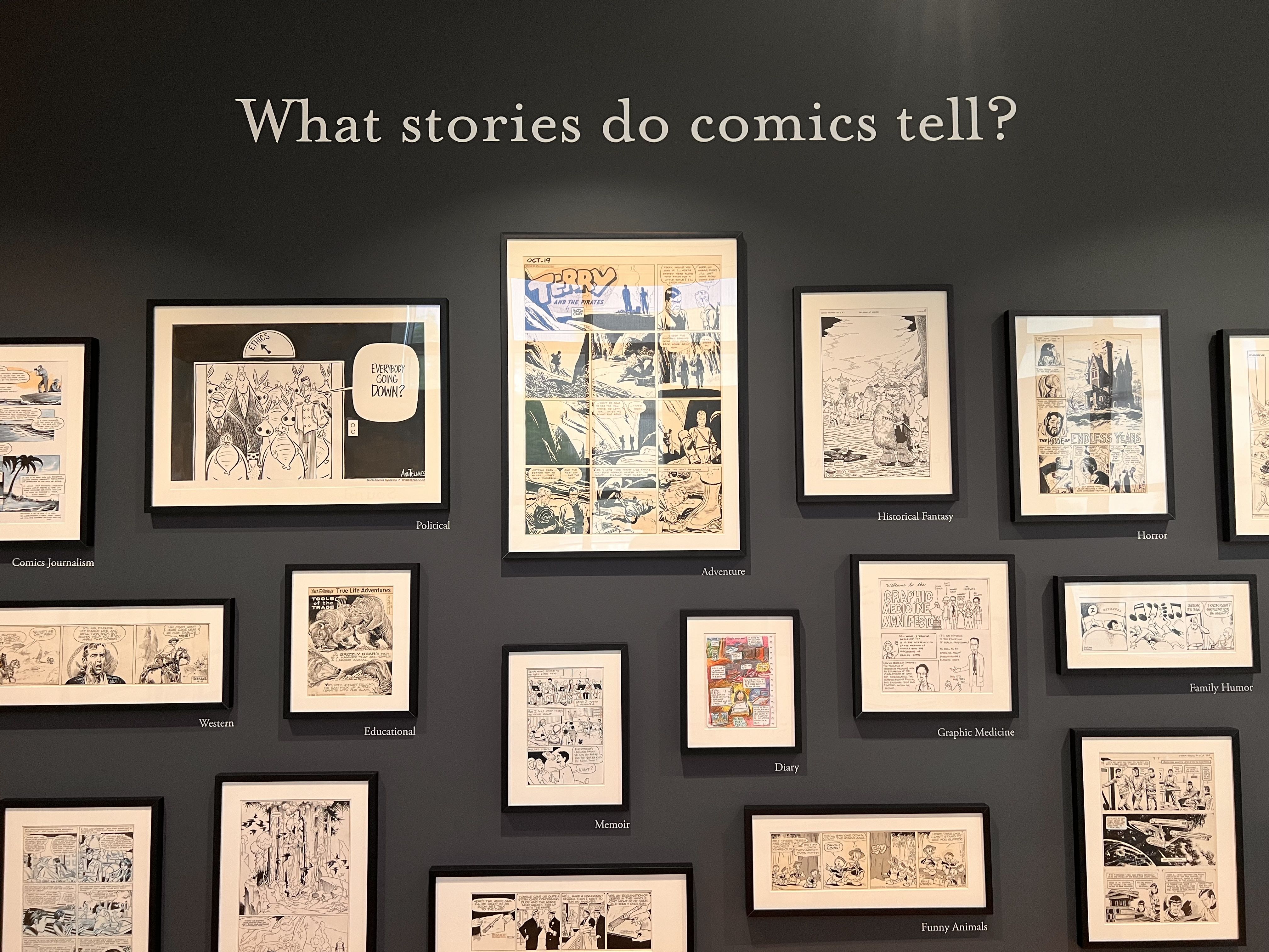Dark gallery wall with a large title reading "What stories do comics tell?" above framed comic pages, labeled with categories such as Comics Journalism, Western, Education, Adventure, Horror, and Graphic Medicine.