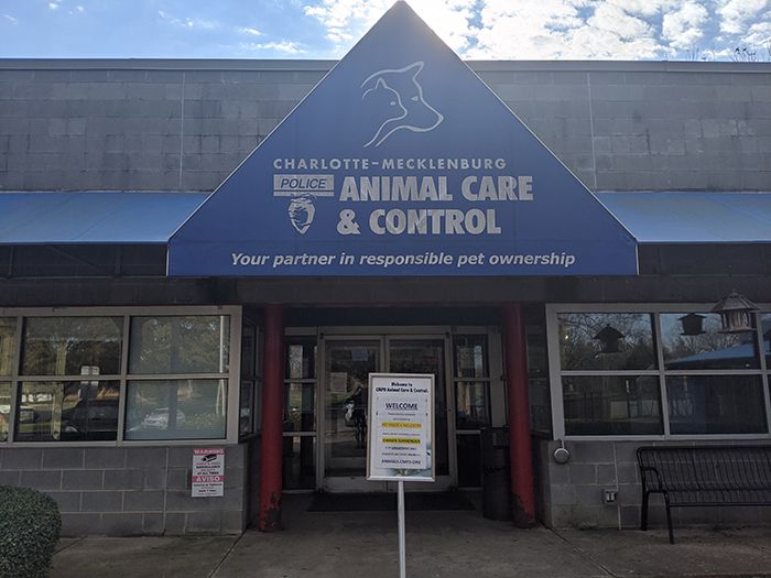 Mecklenburg County Animal Control