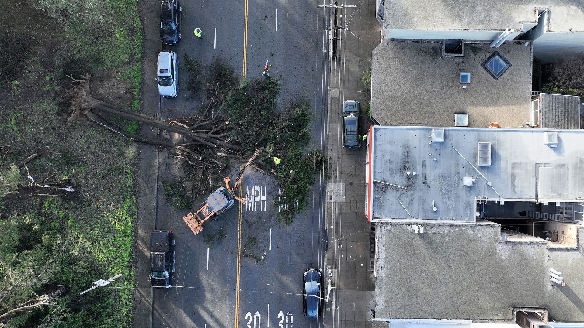 Photo of a large tree collapsed on a road as workers clean up after a storm