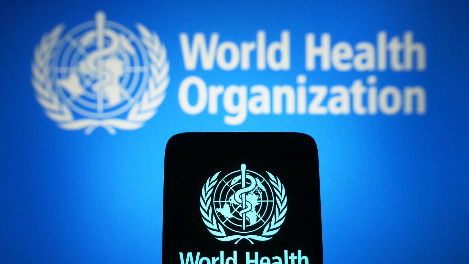 Logo of the World Health Organization