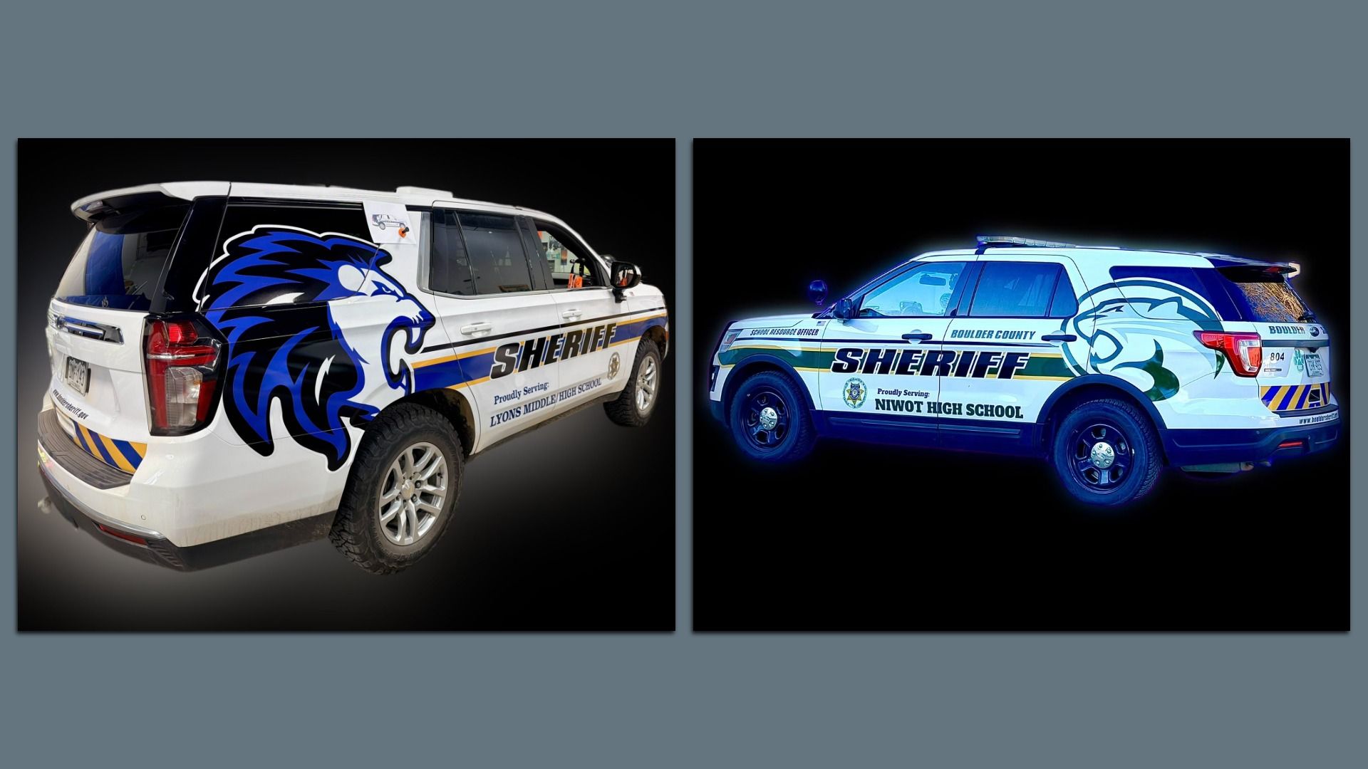 Two white sheriff SUVs with blue and black lion head graphics and text showing service to Lyons Middle High School and Niwot High School, with blue and gold stripes on the sides.