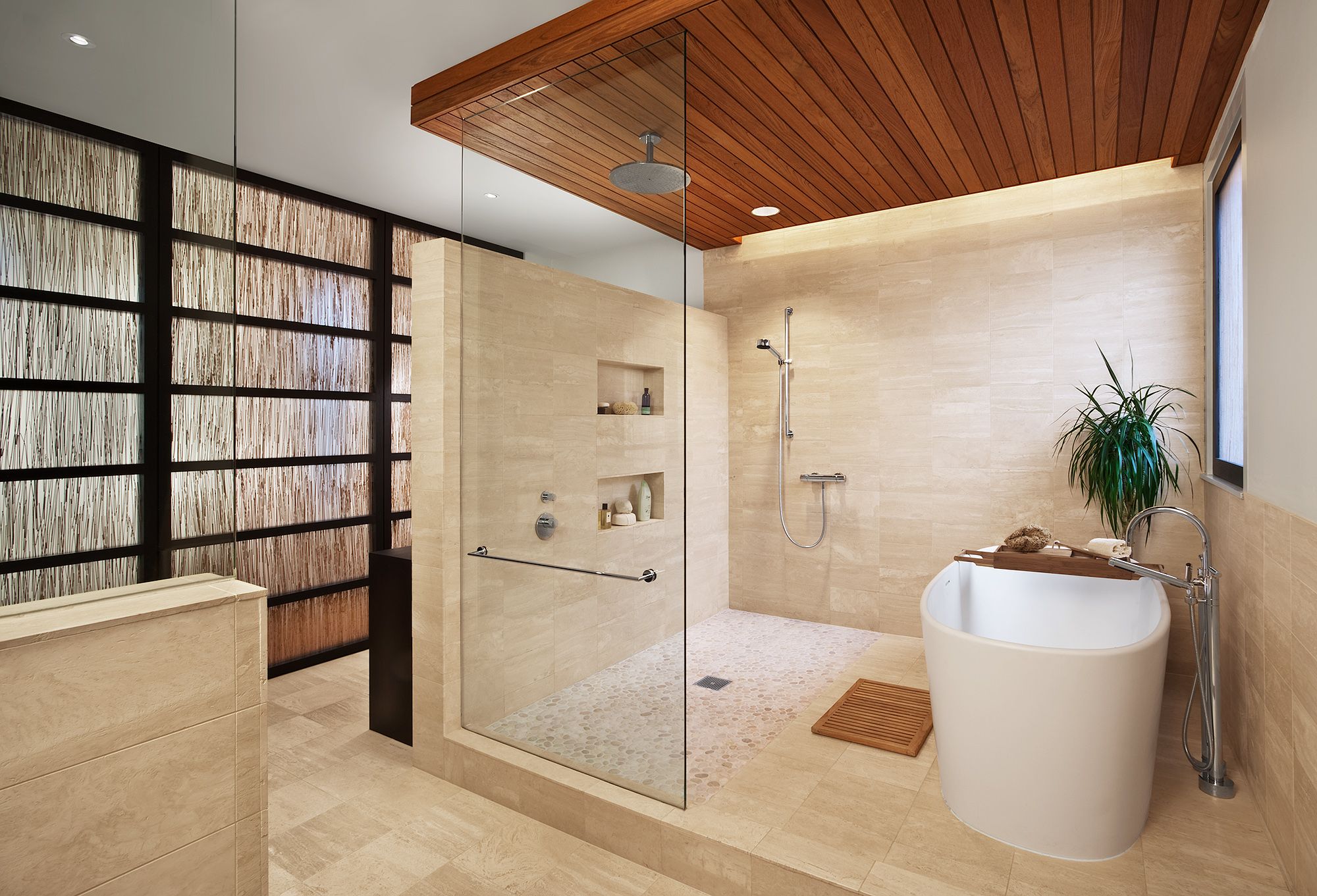 A photo showing a bathroom with a large see-through shower and a bathtub. A plant hangs near the tub and a window. 