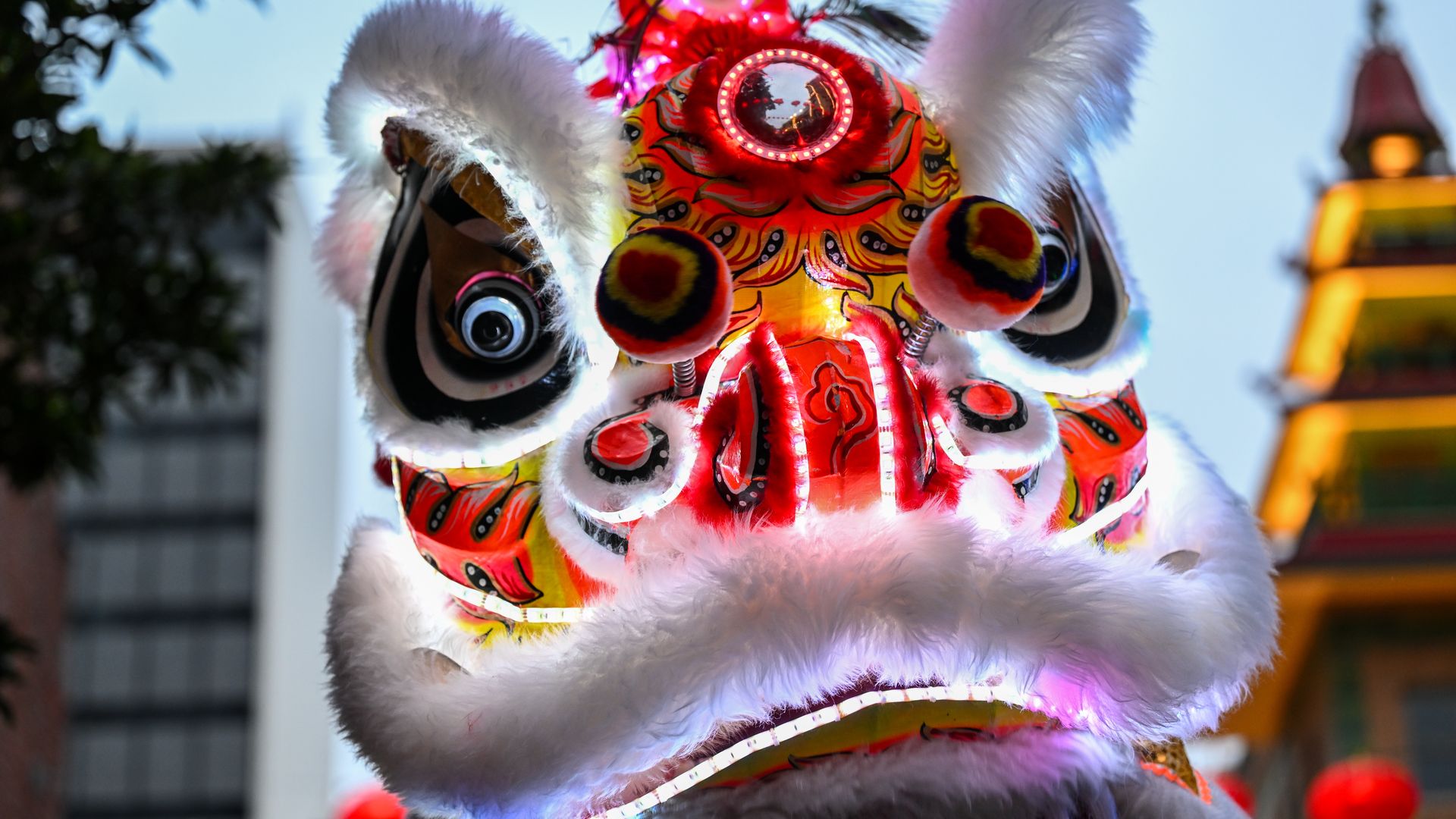 San Francisco Weekend Events Hungry Ghost Festival Cello With Cats san-francisco-weekend-events-hungry-ghost-festival-cello-with-cats