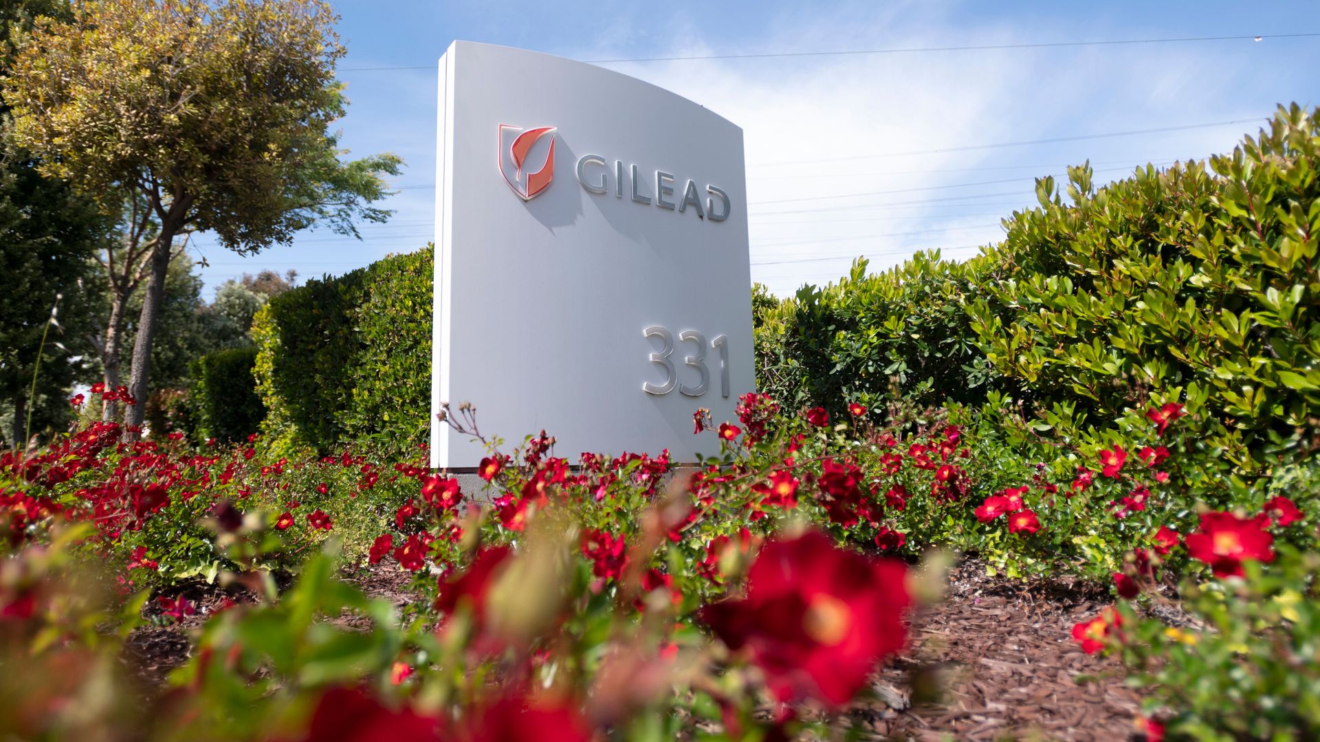 Red flowers in front of a sign with the Gilead Sciences logo.