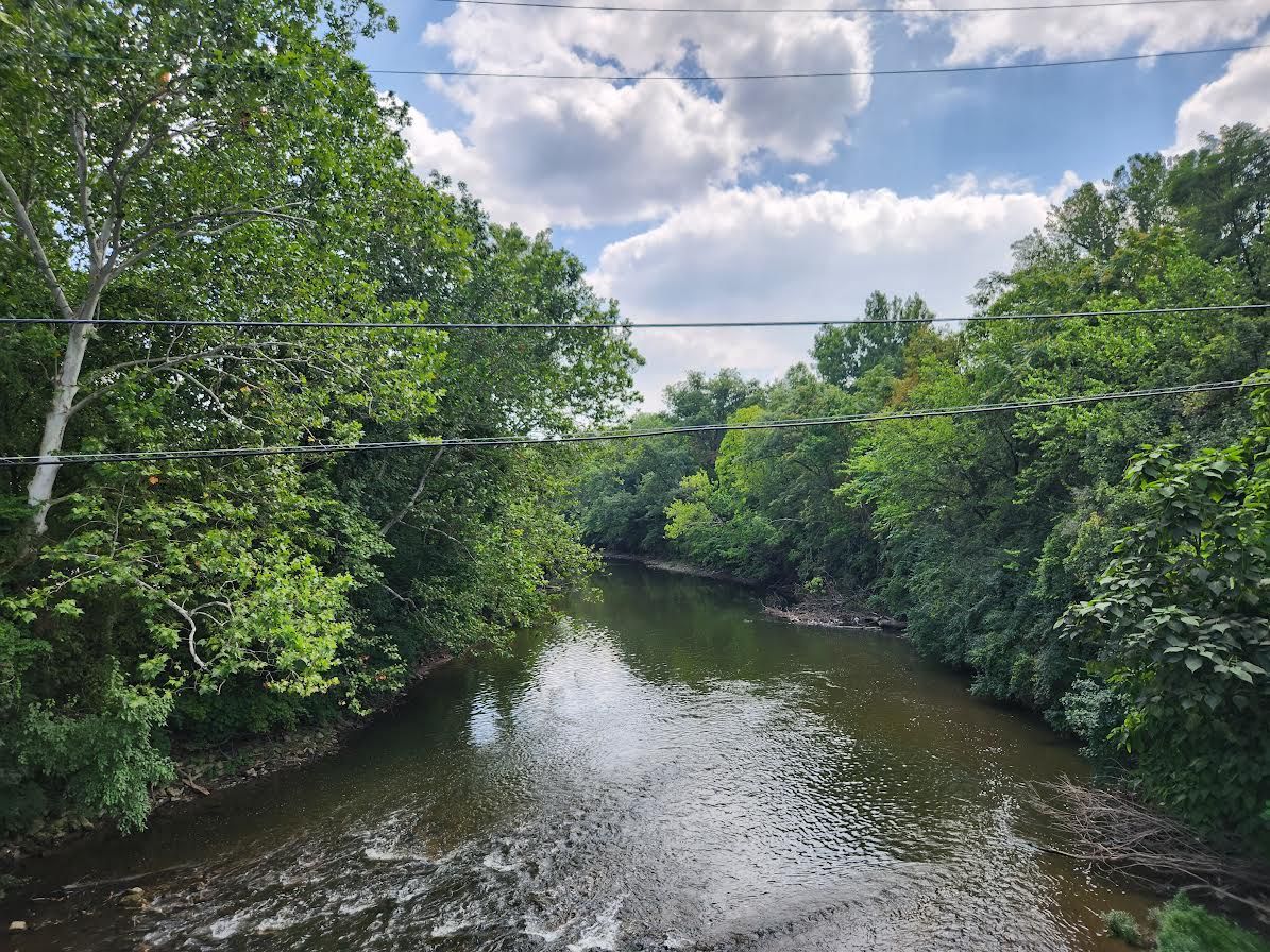 A scenic view of Alum Creek with trees and banks.