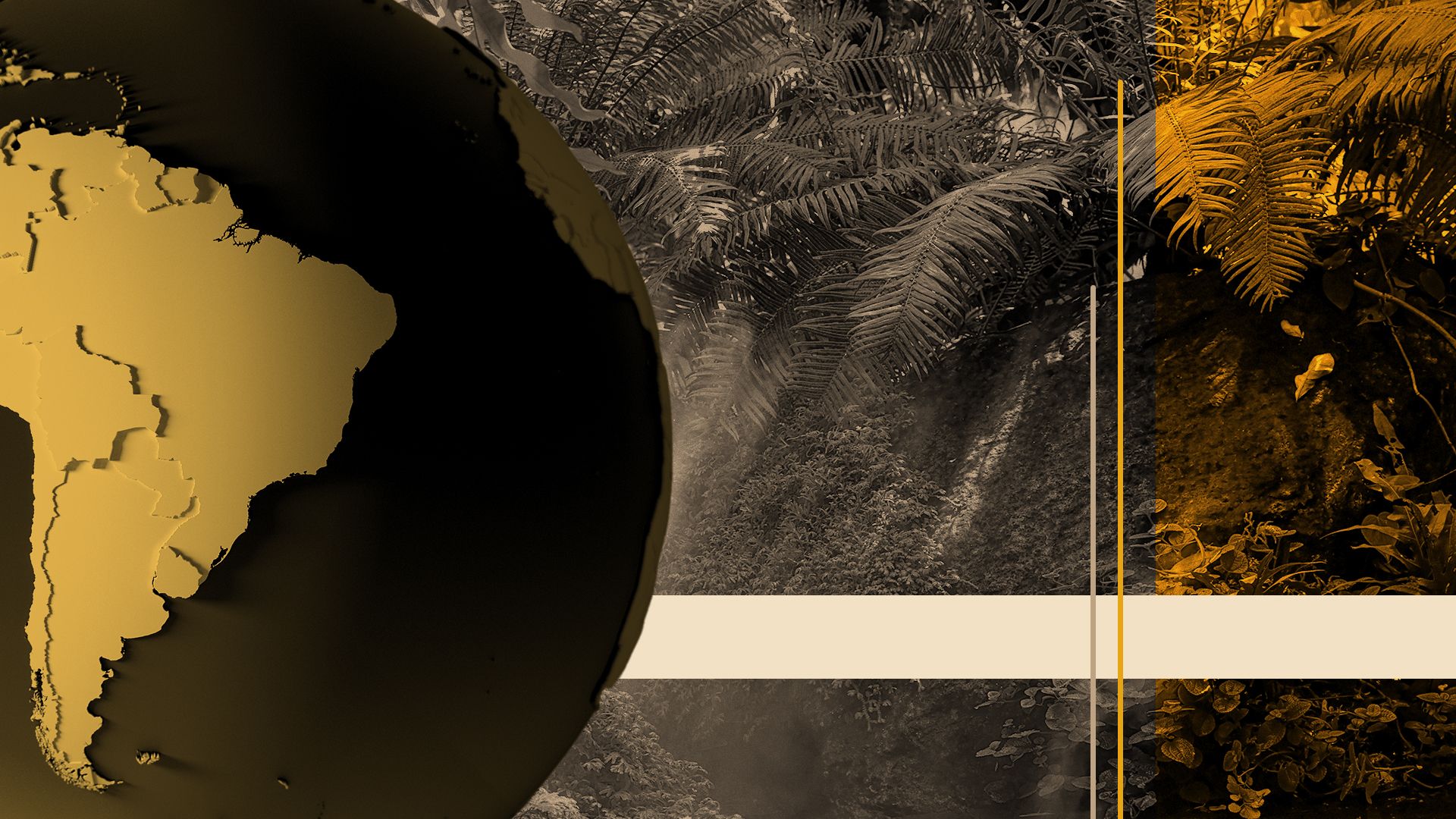 Illustration of a globe centered over South America next to the Amazon rainforest and abstract shapes.