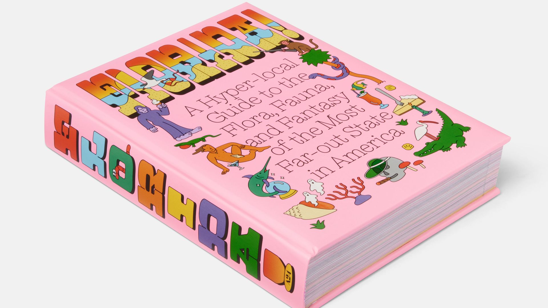 A pink book titled "Florida!" is photographed.