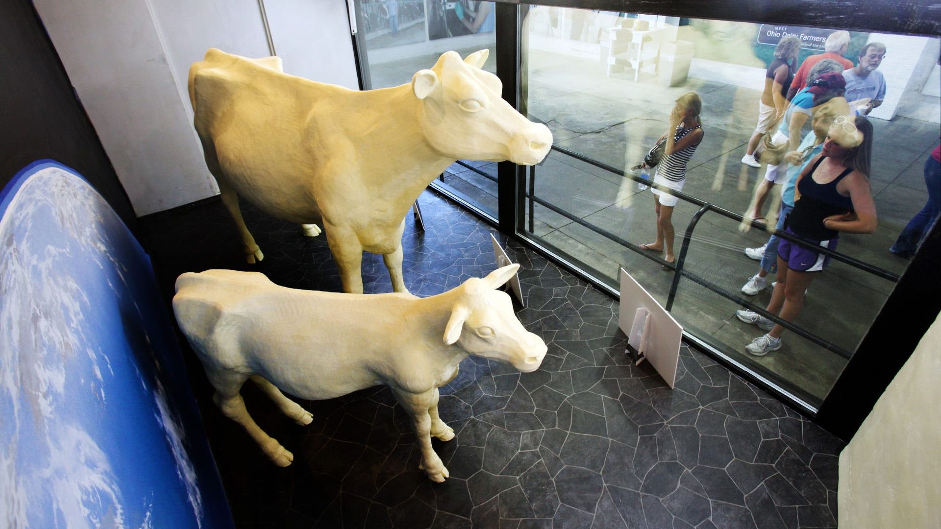 Ohio State Fair guests look at butter cow and butter calf sculptures