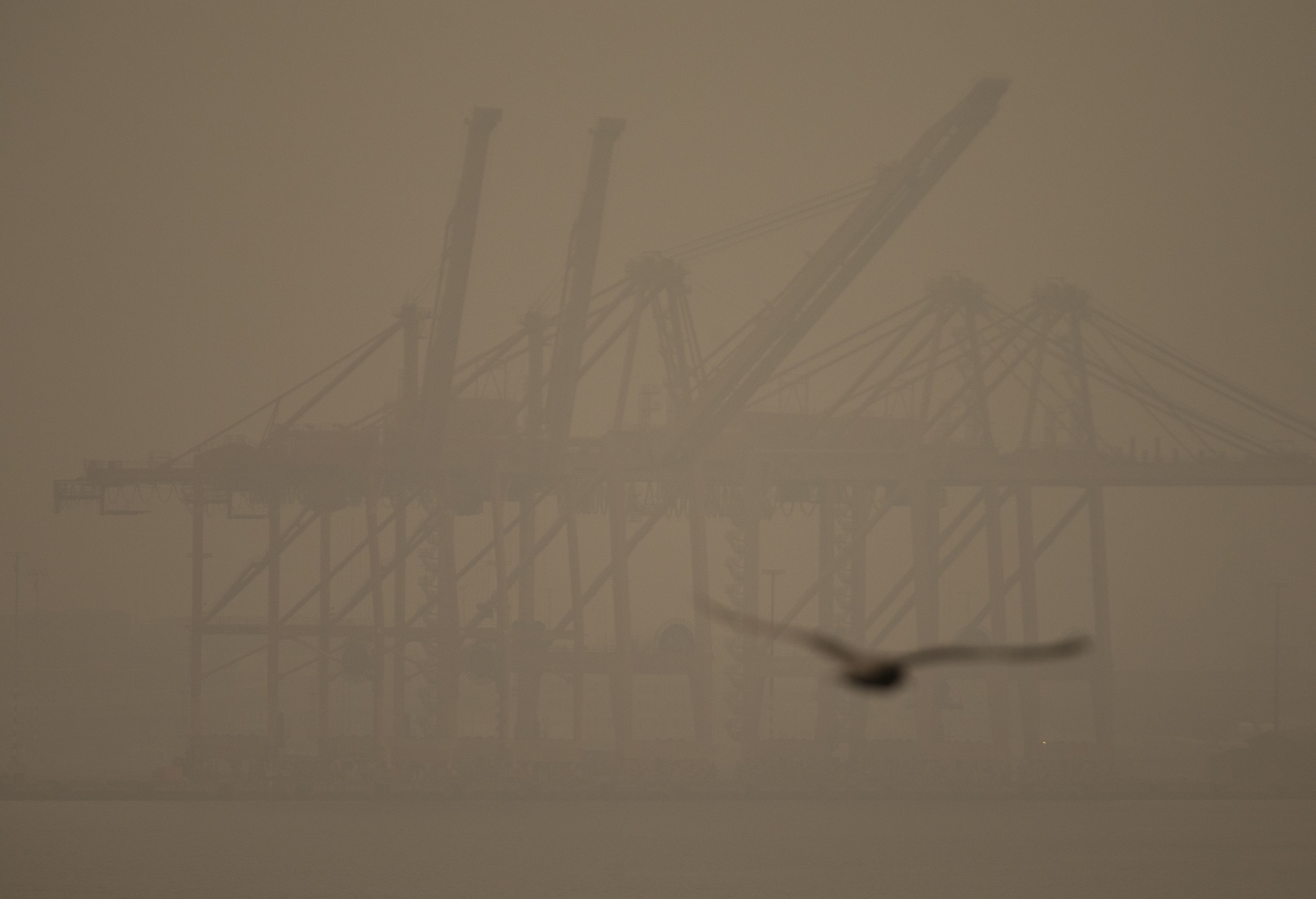  A seagull flies past cranes on Harbor Island as smoke from wildfires fills the air on September 12