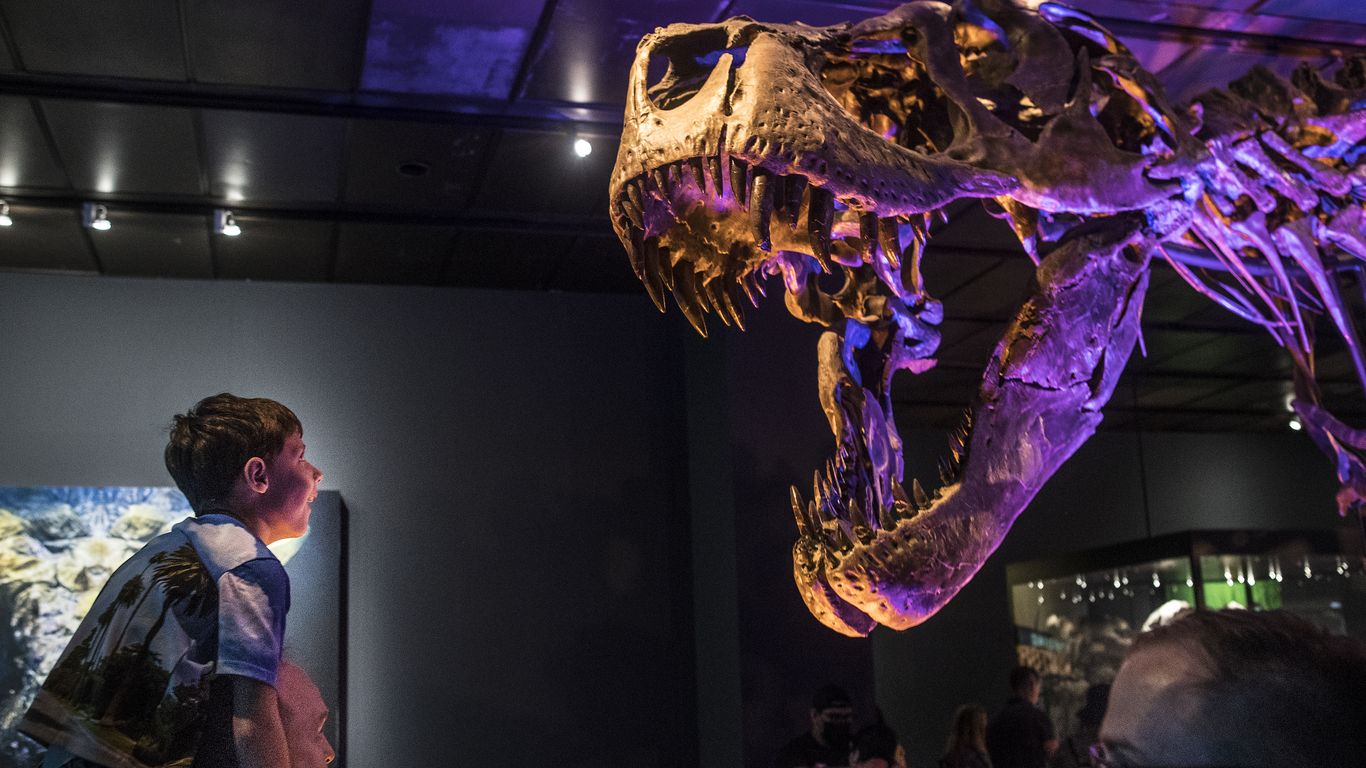 Houston Museum of Natural Science changes free admission day - Axios ...