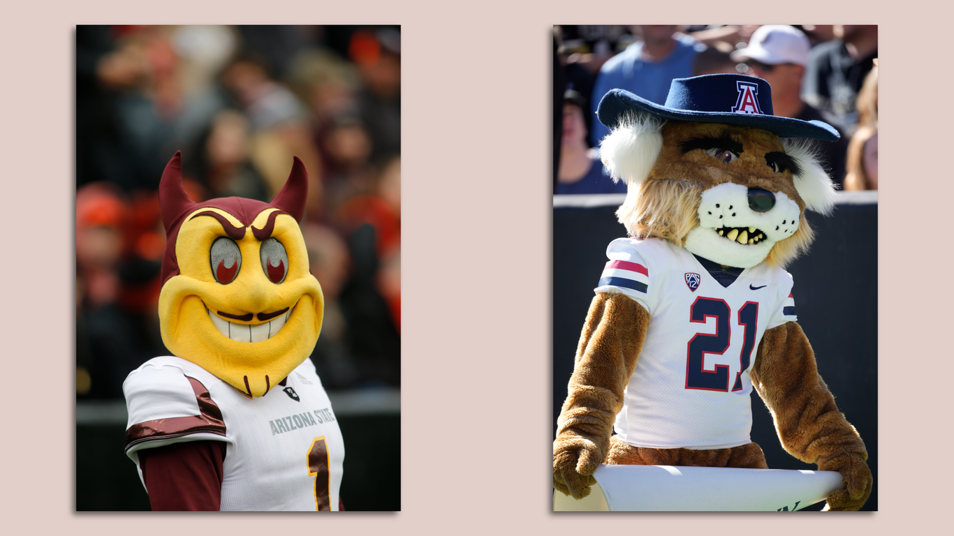 ASU and UofA mascots date back to 1950s - Axios Phoenix