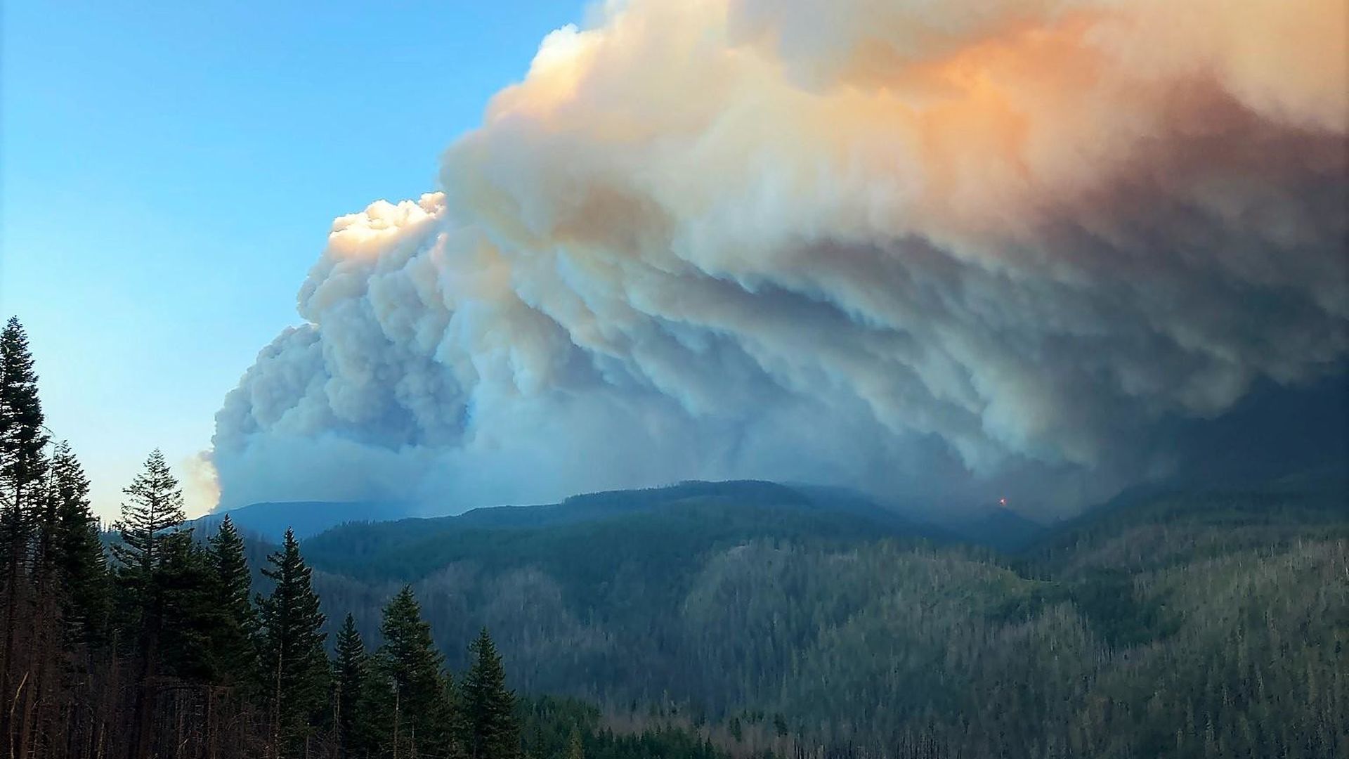 A photo of a pummel of smoke cascading throughout a heavily wooded landscape.