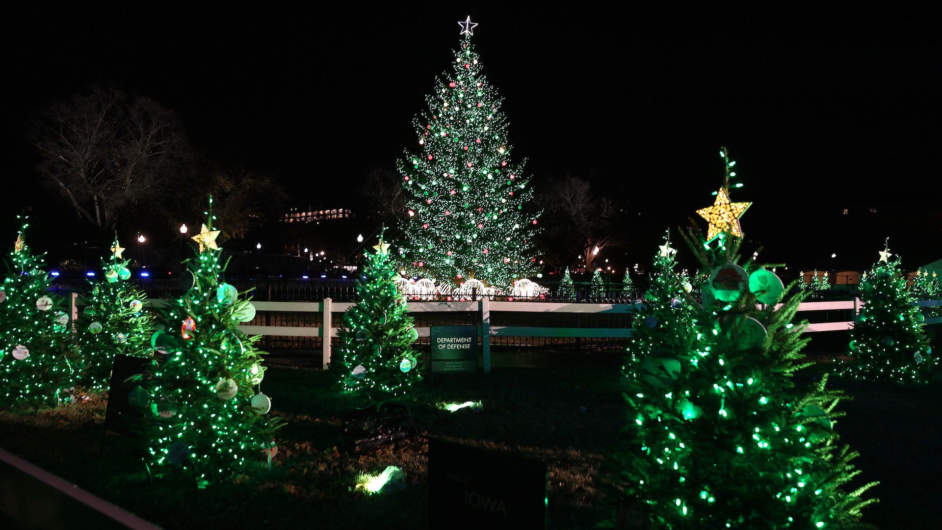 National Christmas Tree
