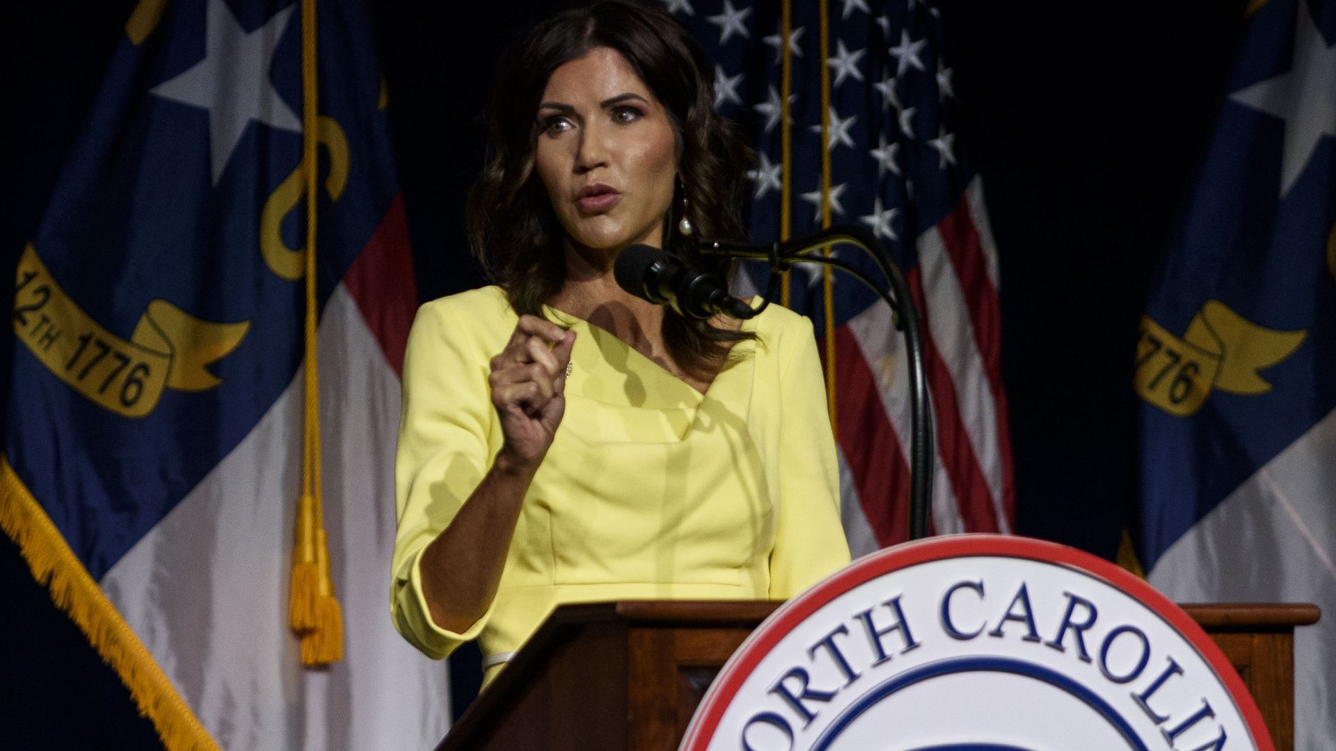  Melissa Sue Gerrits / Stringer