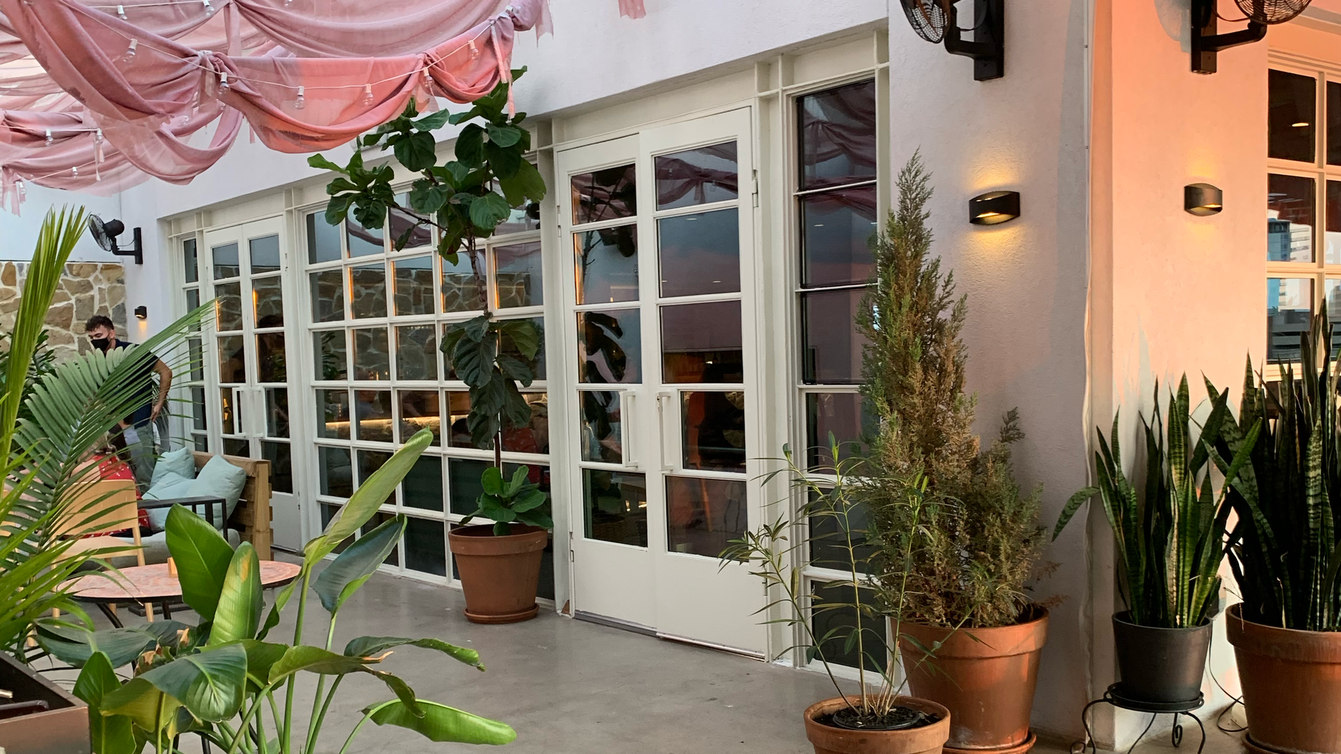 Greenery at P6