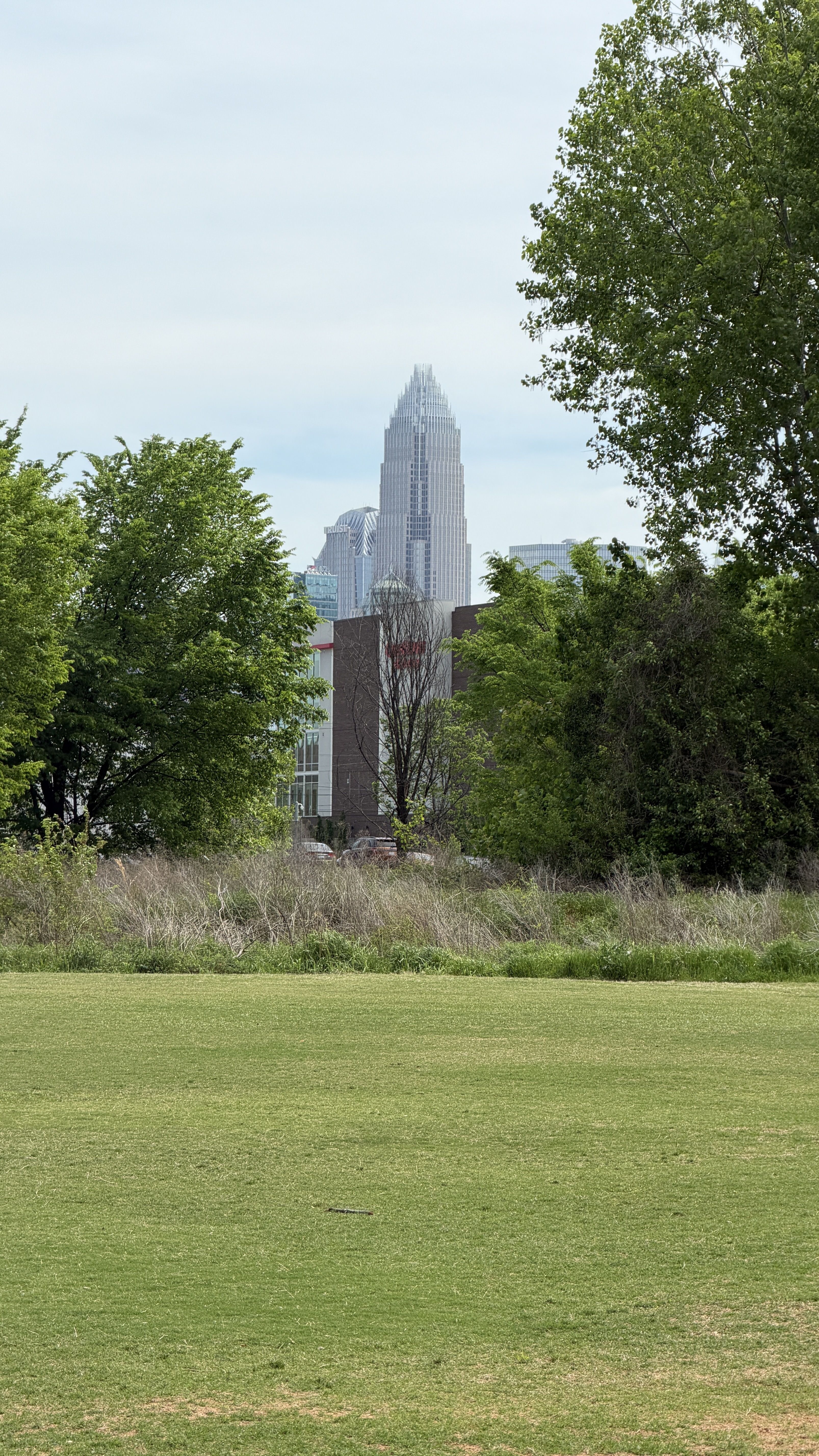 Grassy park in the foreground with trees on both sides. In the distance, a modern city skyline rises, dominated by a tall white tiered skyscraper beneath a pale blue sky.