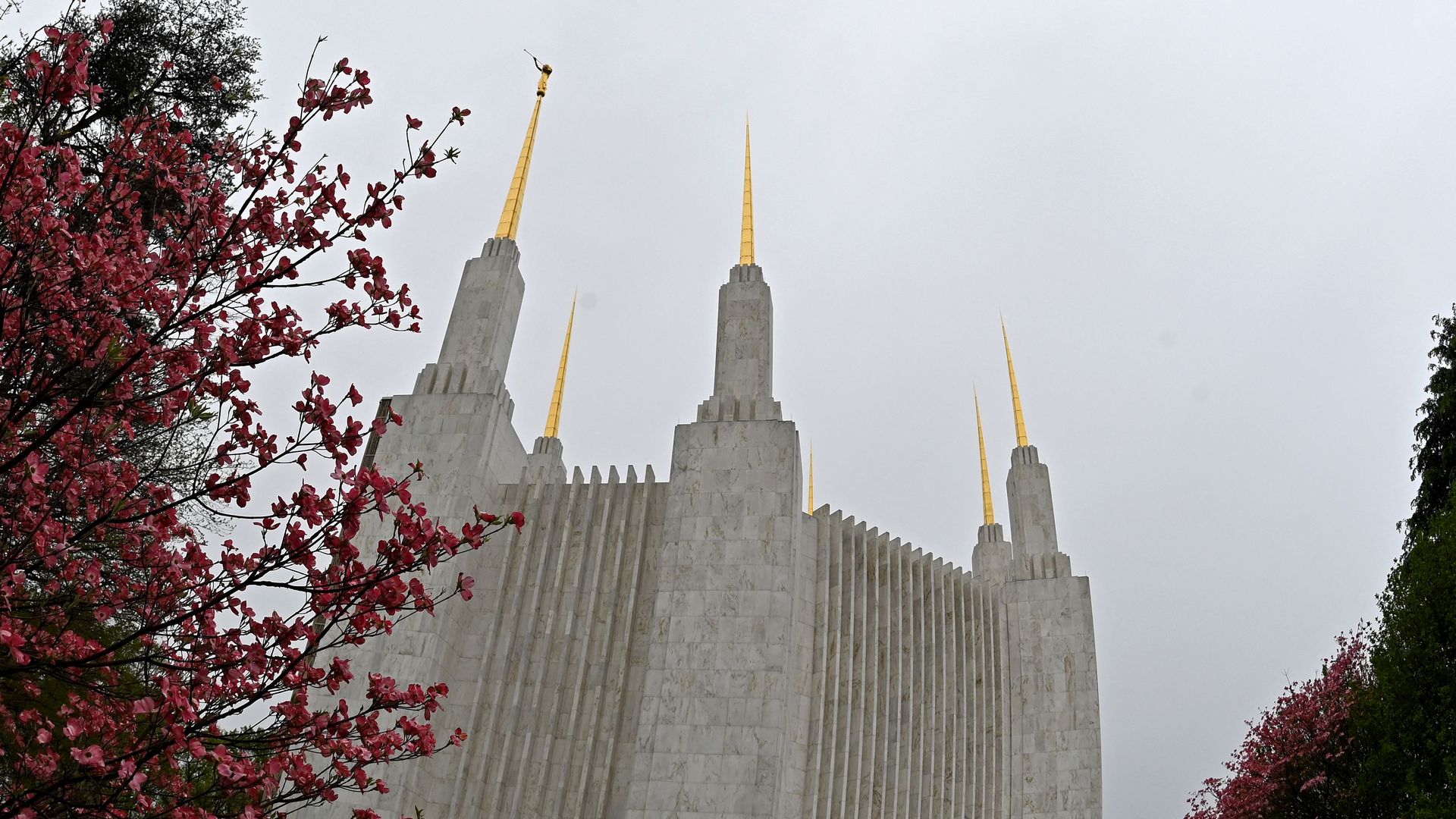 Mormon Church Backs Same Sex Marriage Law