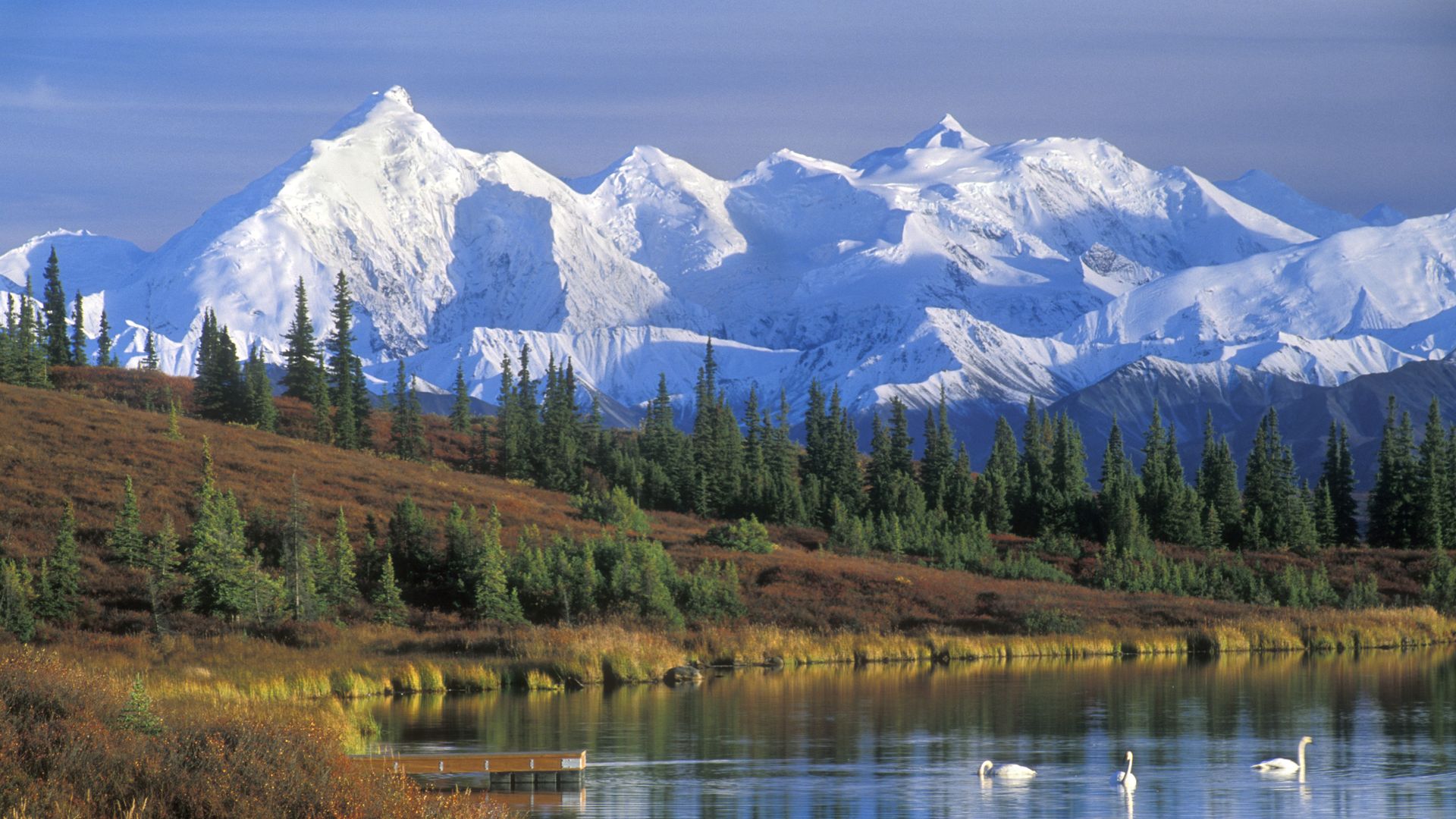 Denali National Park