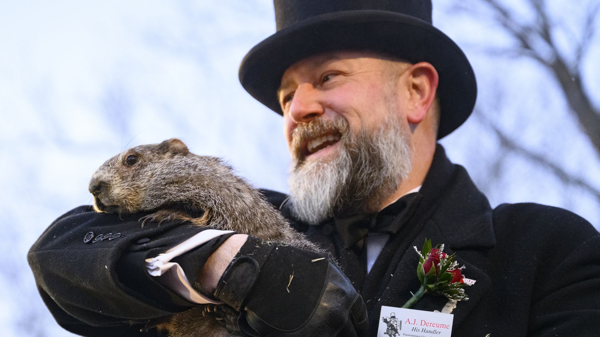 Bearded man in black coat, top hat, and gloves holds a groundhog closely, smiling. He wears a name tag reading A.J. Dereume, His Handler, with a red flower boutonniere. Outdoor setting.