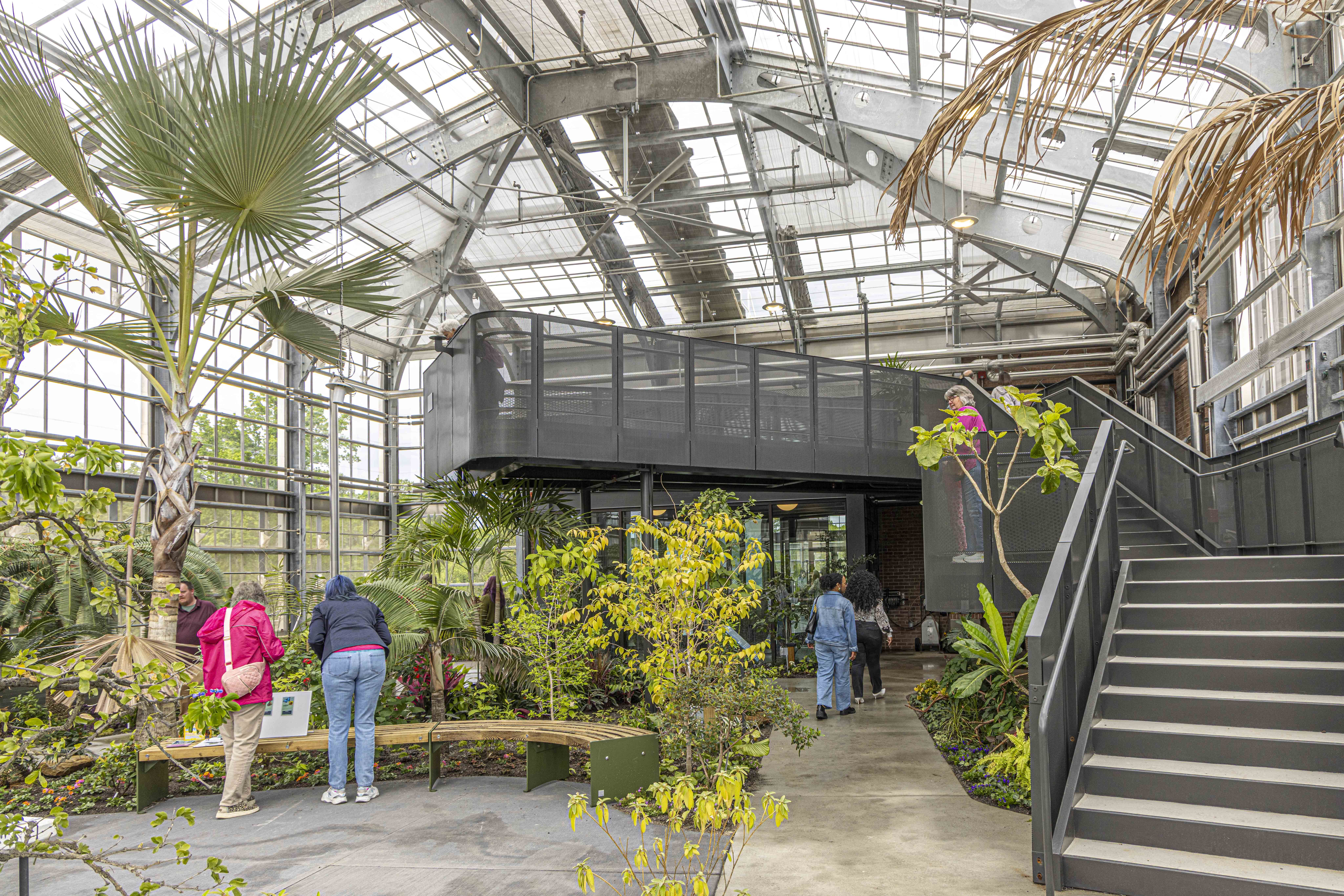 Interior of a bright glass greenhouse with metal framing, large palm plants, and a black elevated walkway. People walk below and on the platform; stairs on the right; lush potted greenery.