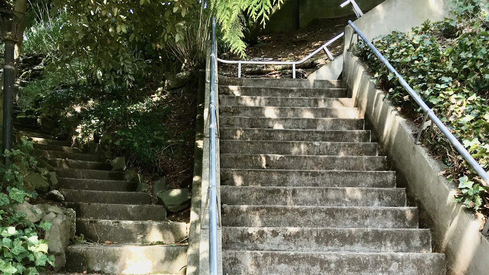 Two sets of outdoor concrete stairs rise right next to each other, though they go different places.