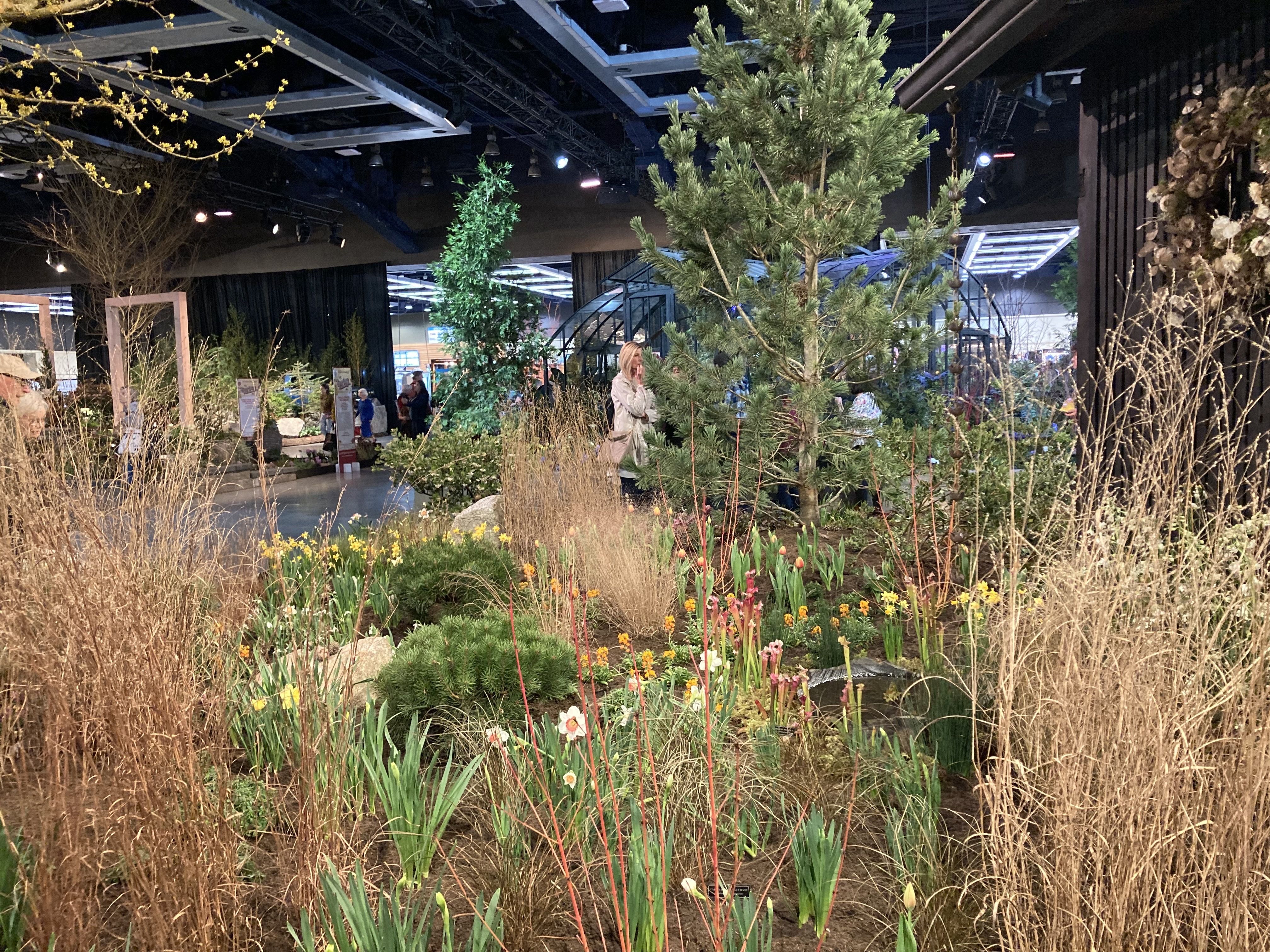 A meadow garden features tall grasses and low-maintenance flowers. 