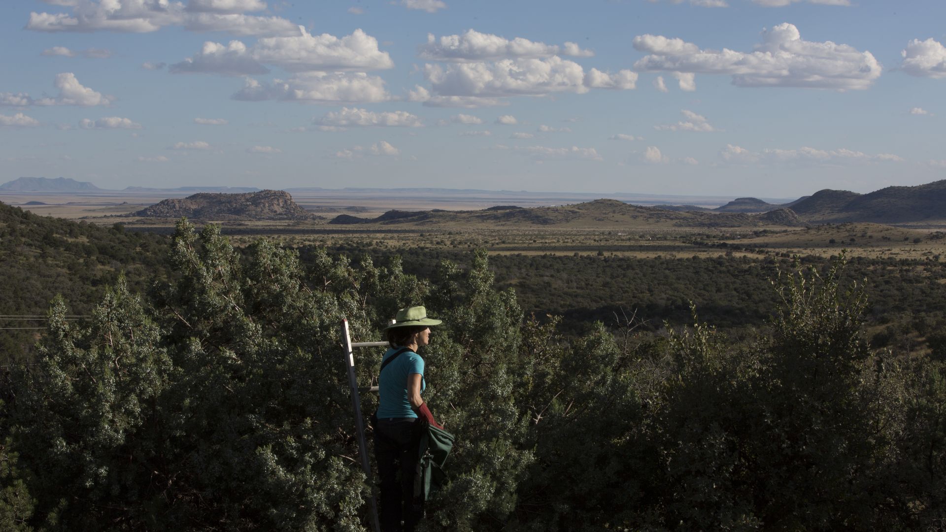 University of Texas biology professor grows WildGins - Axios Austin