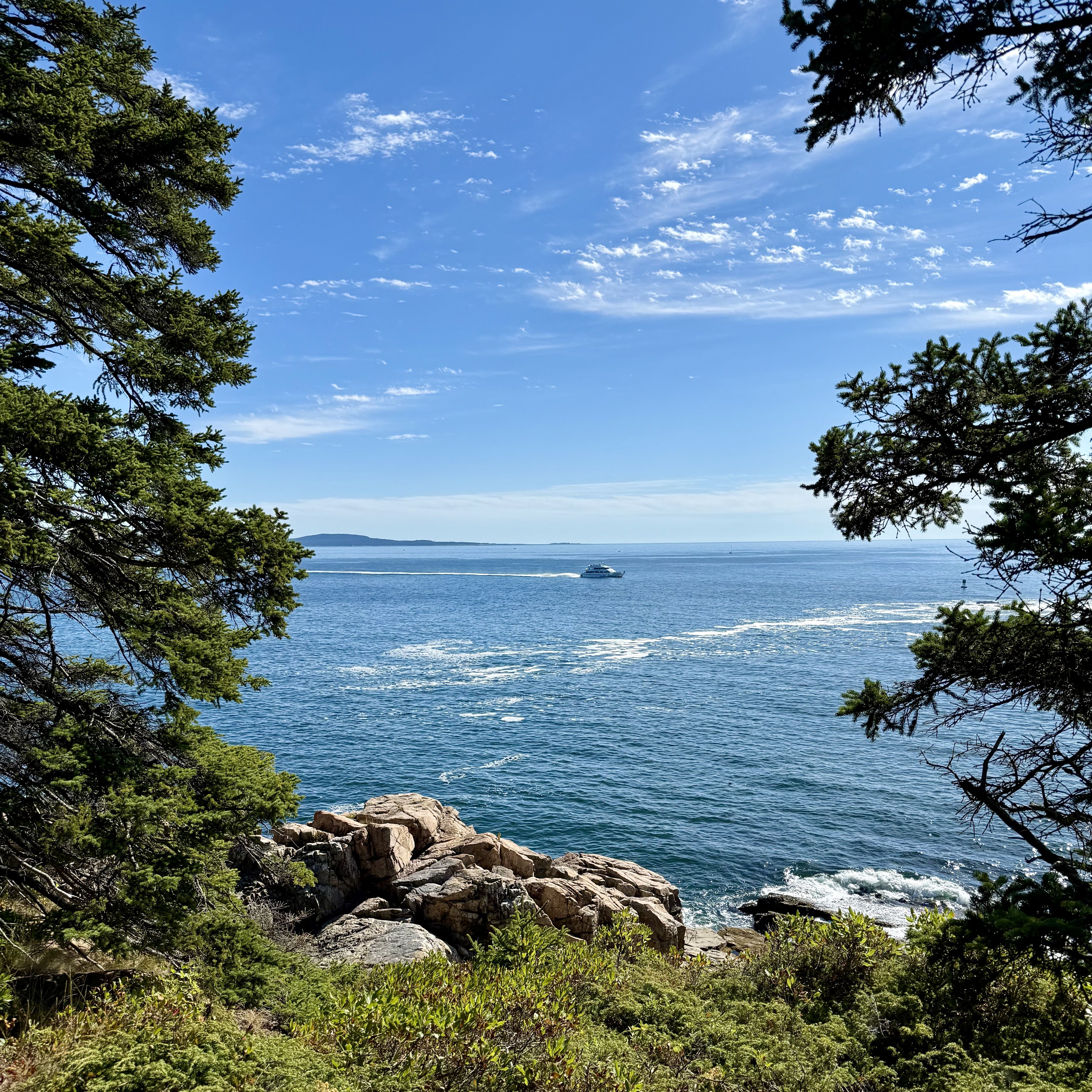 Wide view of blue sky with wispy clouds, framed by evergreen trees on both sides and rocky coastline in the foreground. Calm sea with a small boat near the horizon.
