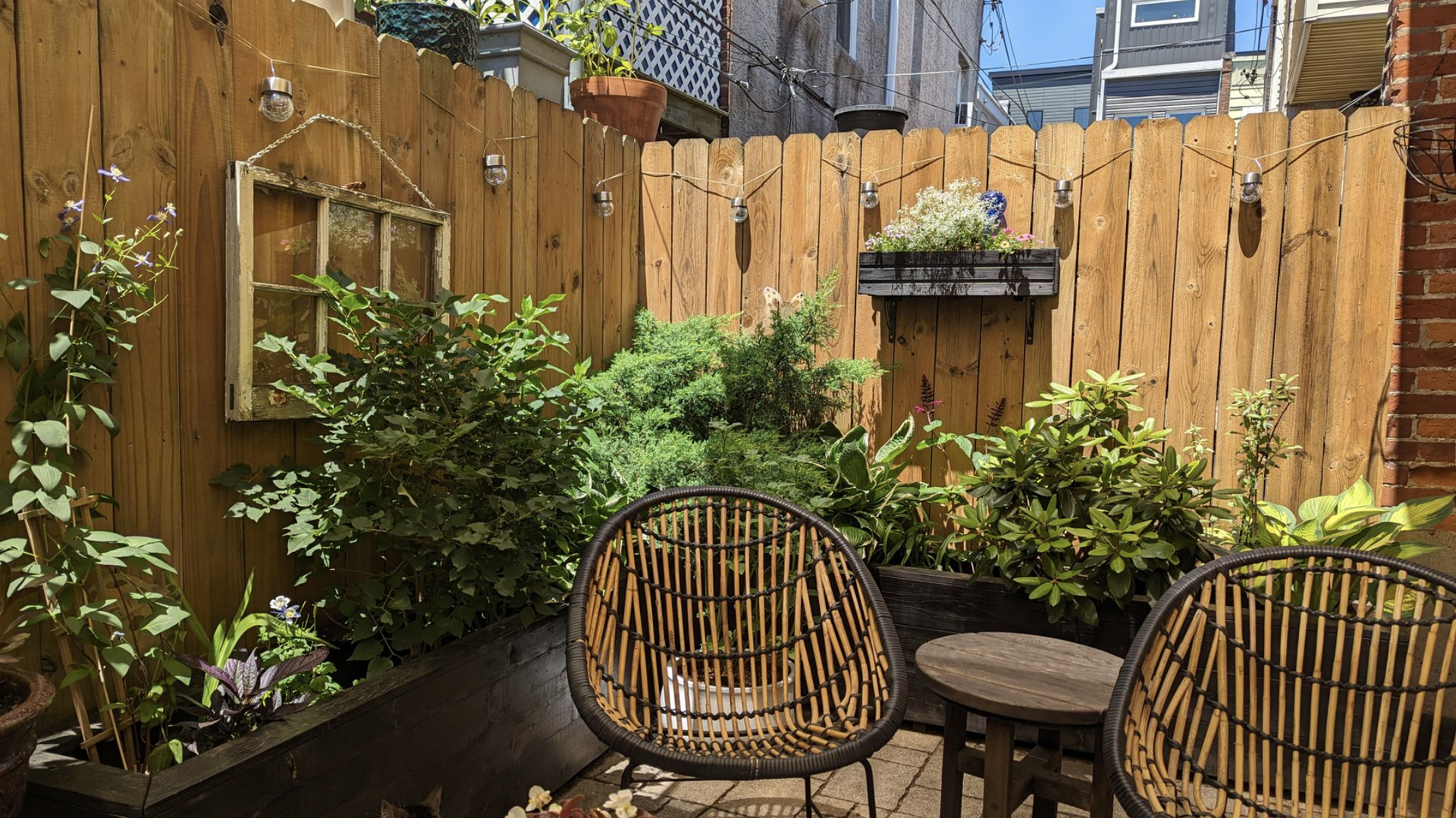 Sunlit urban backyard patio in Philly with a tall wooden fence, string lights, and a variety of potted plants. Two brown wicker chairs sit beside a small round table amid lush greenery.