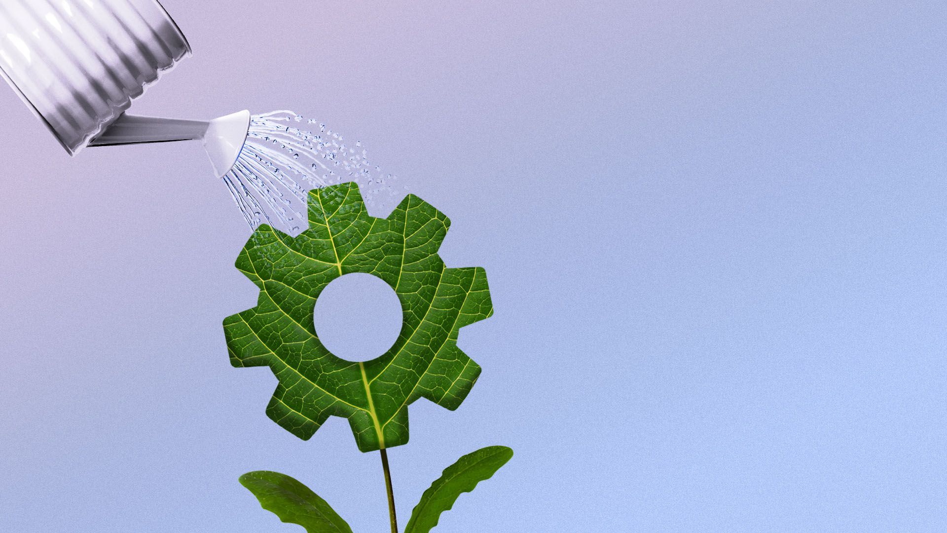 Illustration of a plant shaped like a cog being watered by a watering can