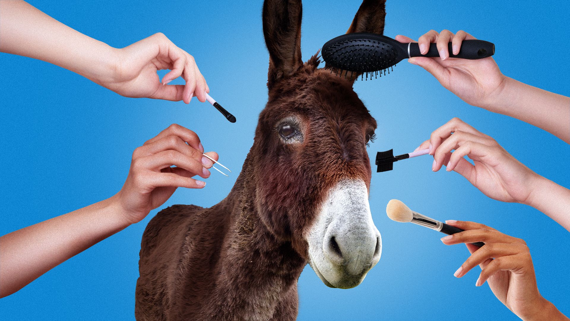 Illustration of a donkey surrounded by hands holding hair and makeup tools.