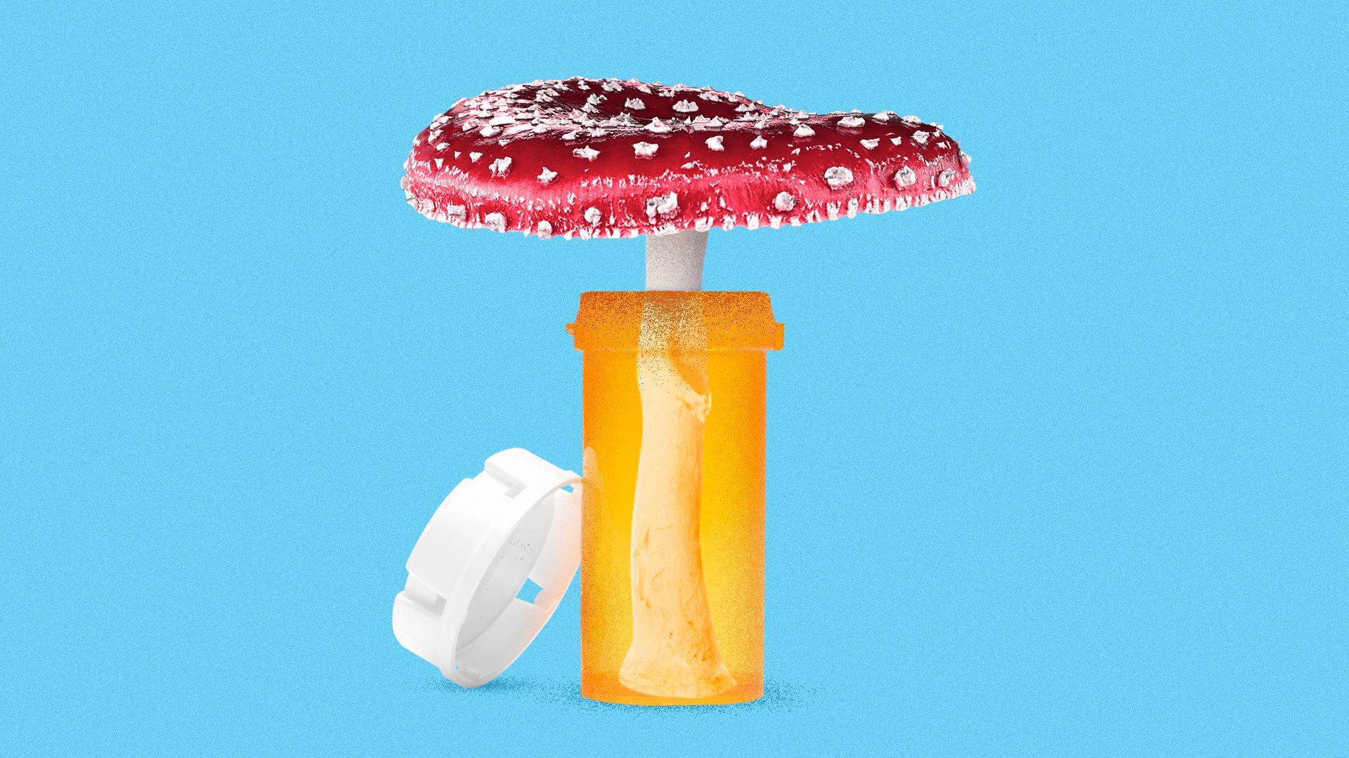 Illustration of a large cap mushroom inside of a pill bottle. 