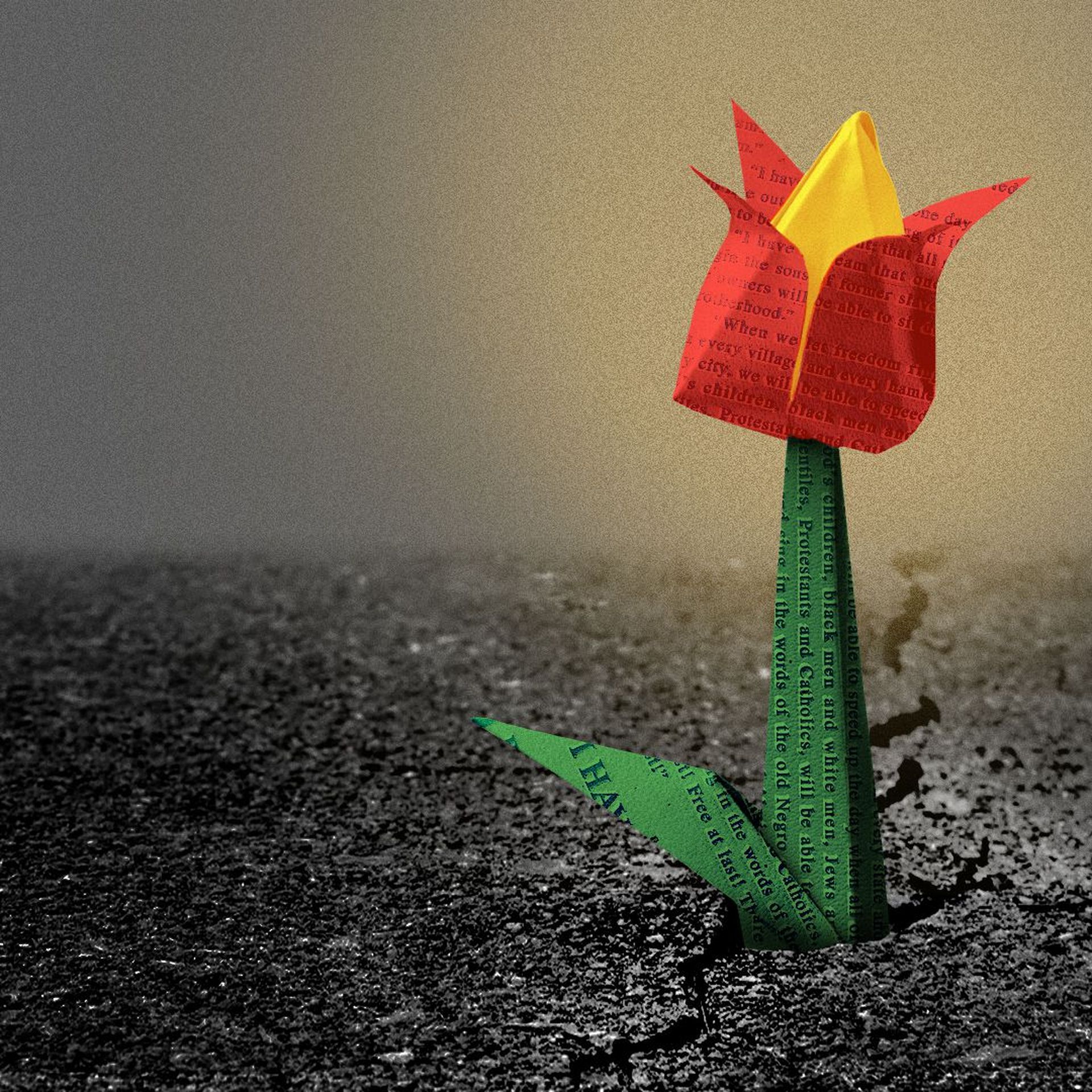 Illustration of a flower made of text pages that is sprouting from cracked asphalt.