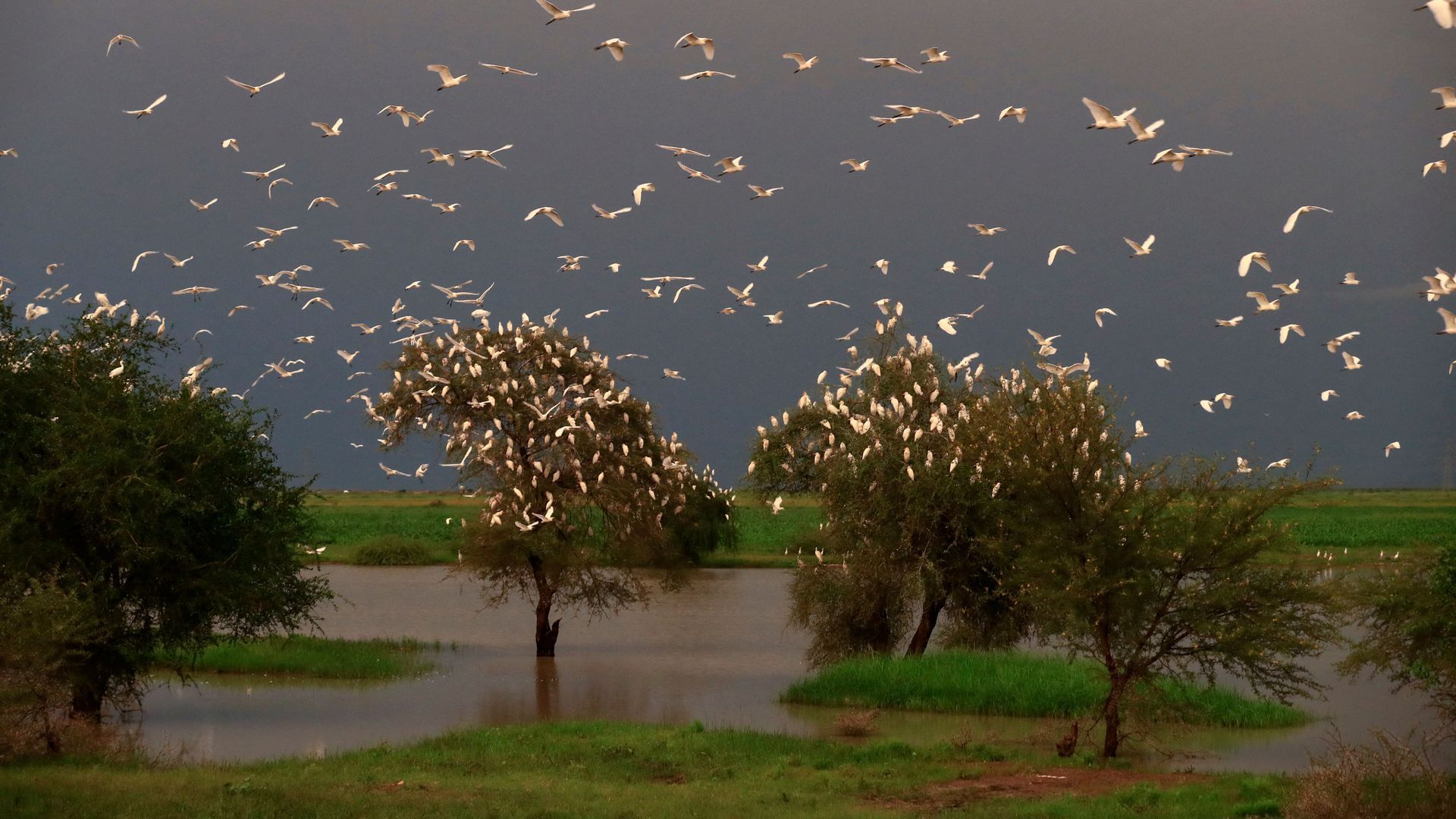 A refugee camp for displaced South Sudanese people impacted by floods near southern Sudan in September 2021. Photo: Ashraf Shazly/AFP via Getty Images