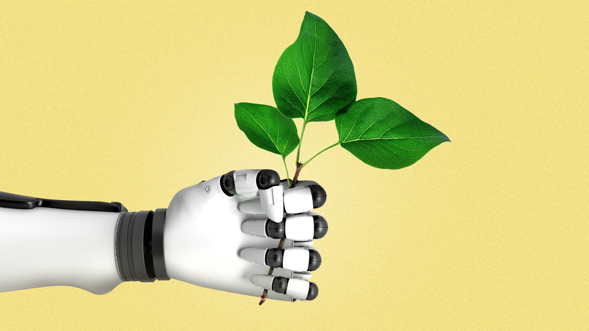 an illustration of a robot hand holding a stem of green leaves