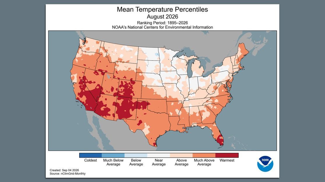 NOAA map showing August 2026 temperatures across the contiguous U.S. compared with historical averages. Much of the West and Southwest, including large portions of Colorado, ranked among the warmest on record.