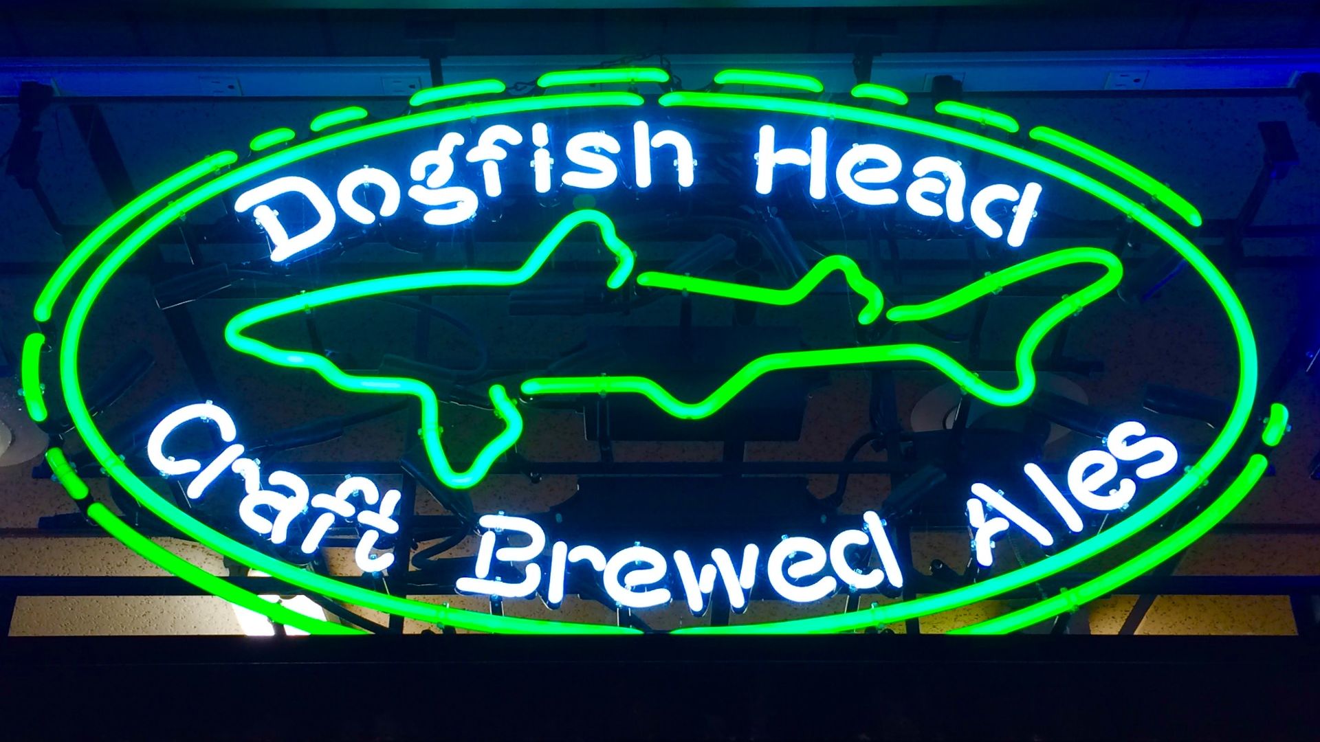 Dogfish Head Brewery neon sign